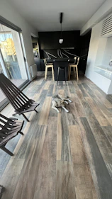 Modern dog hotel interior with clean and cozy design
