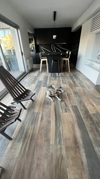 A modern interior space with a dog lying on wooden flooring. The room includes sleek black kitchen cabinets, a central table with chairs, and large glass doors leading to a balcony. Light streaming in highlights the minimalist design and clean lines.
