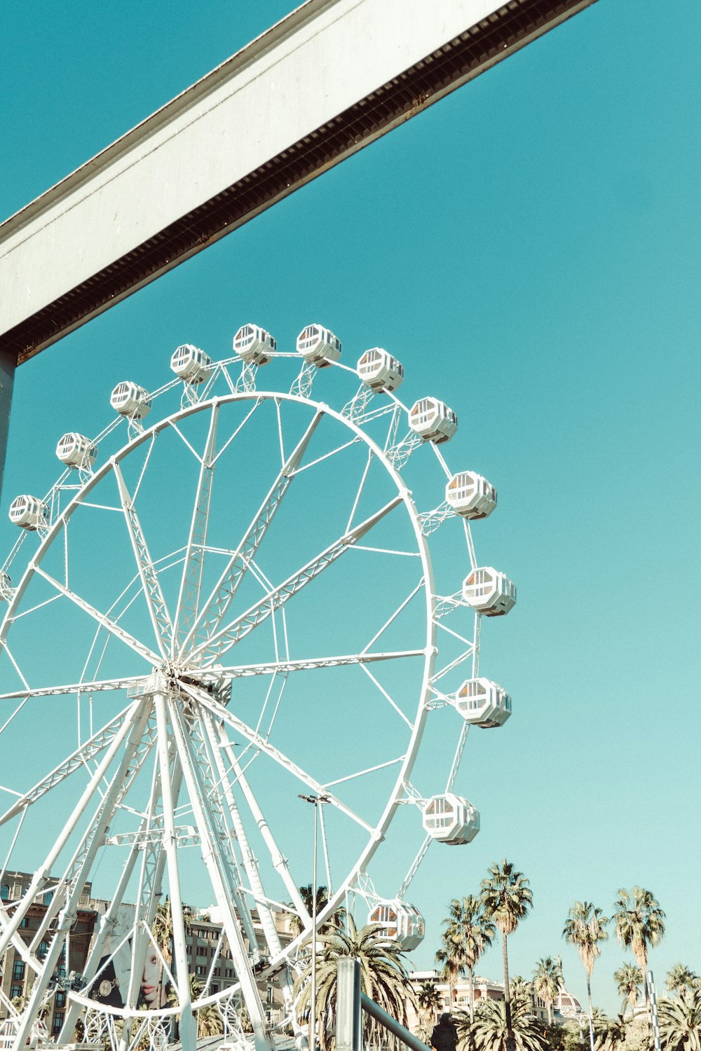 a ferris wheel sitting next to a palm tree