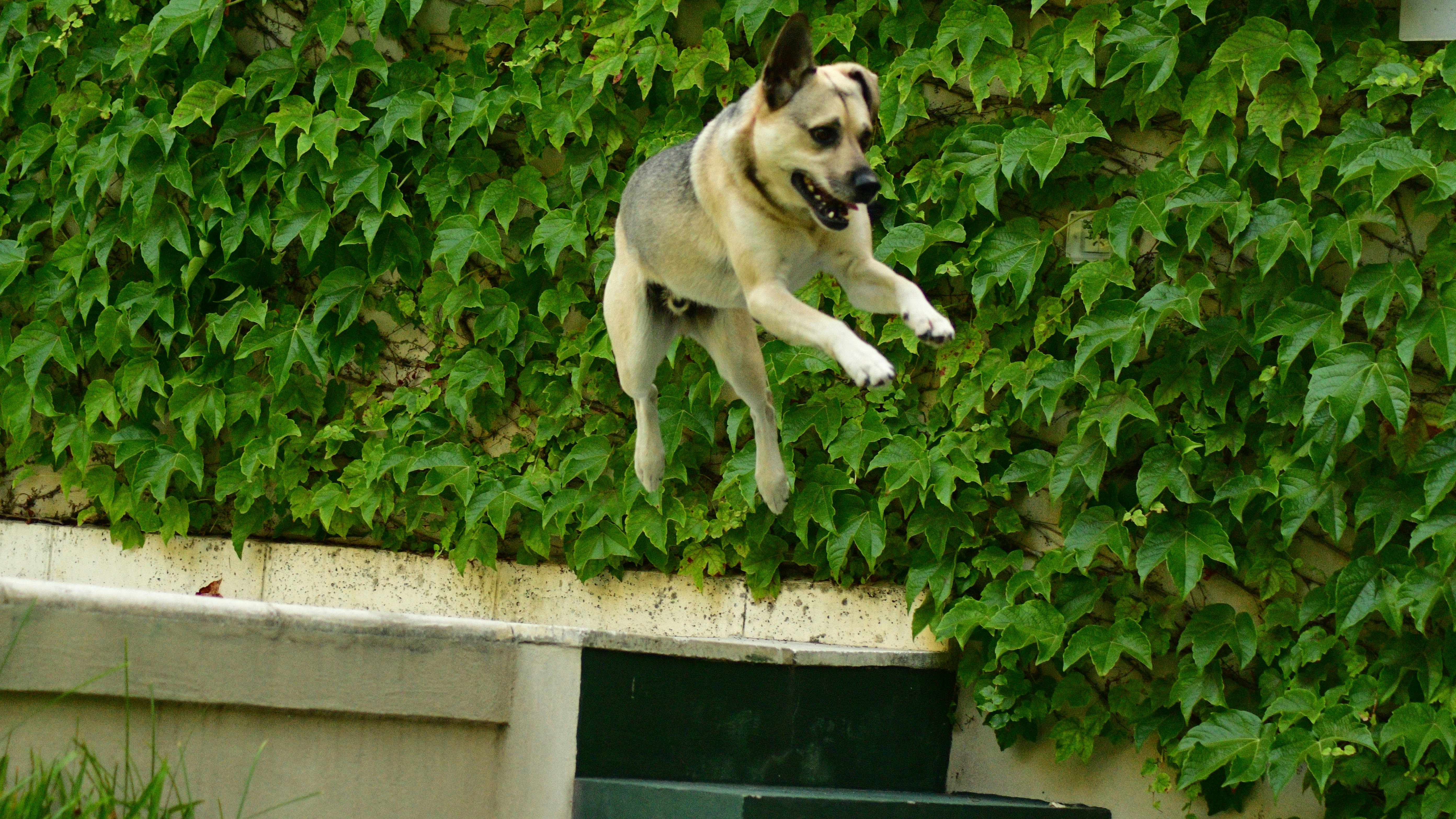 Training for Better Body Awareness