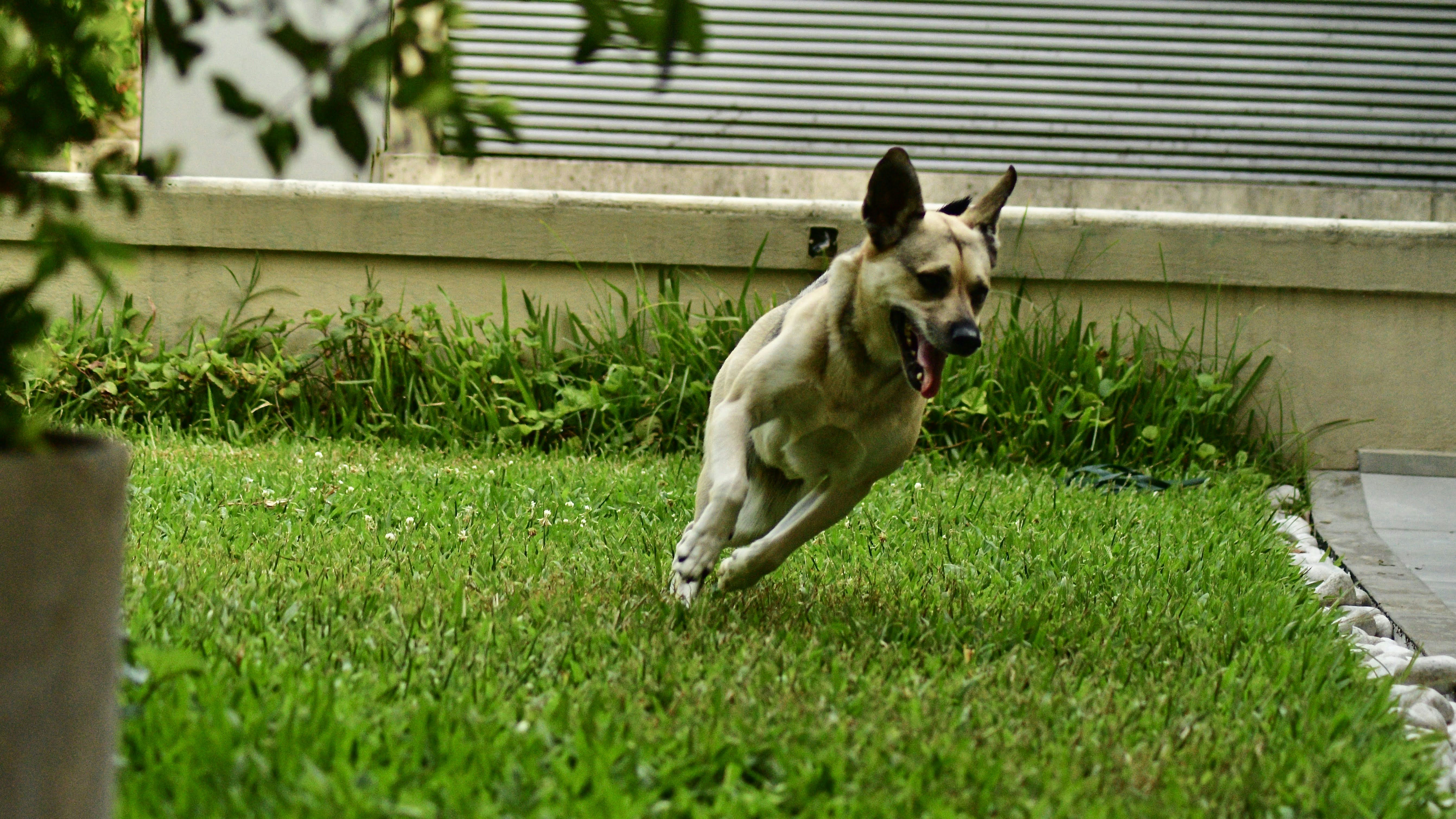 Photo by juanmascan1978