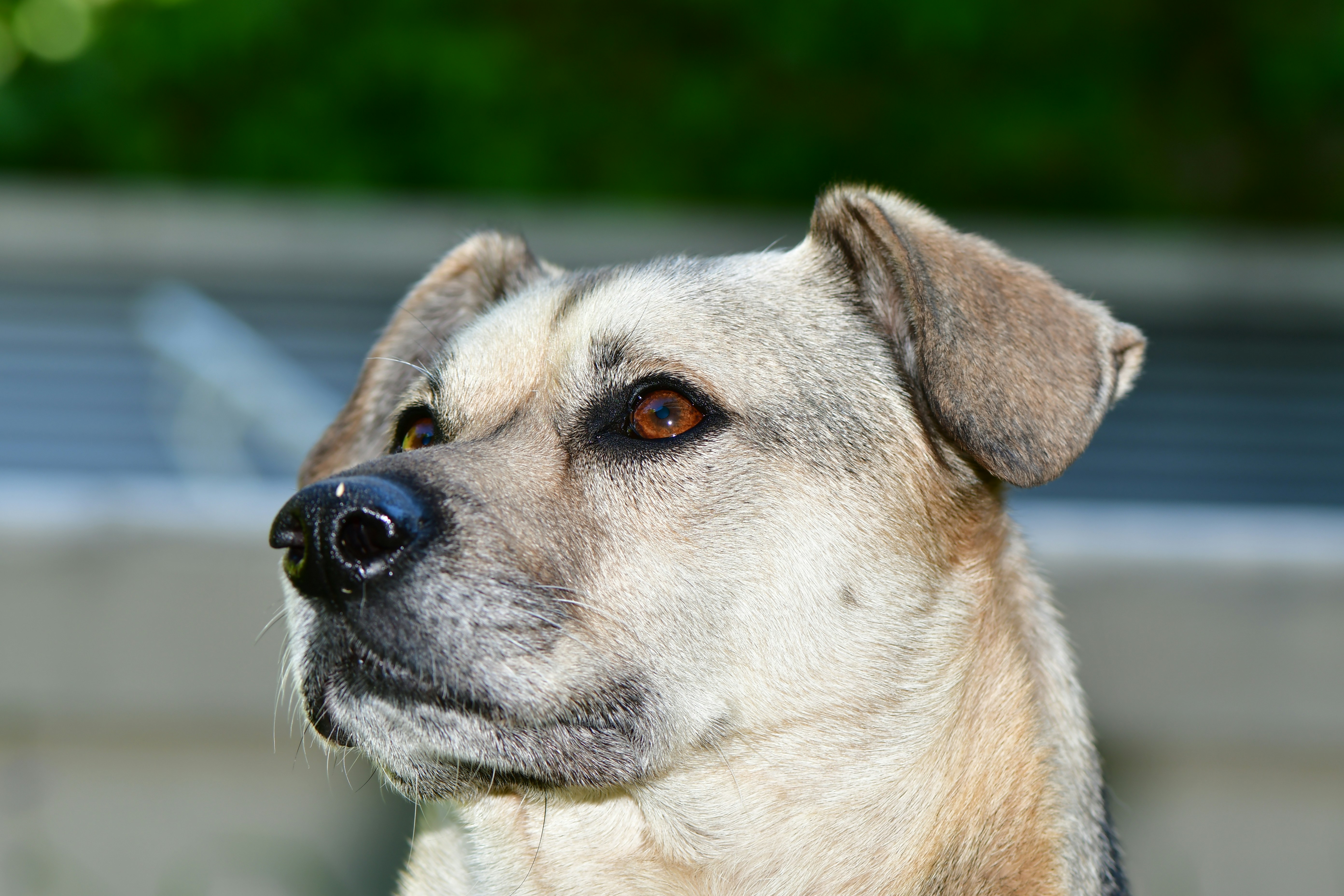 Photo by juanmascan1978