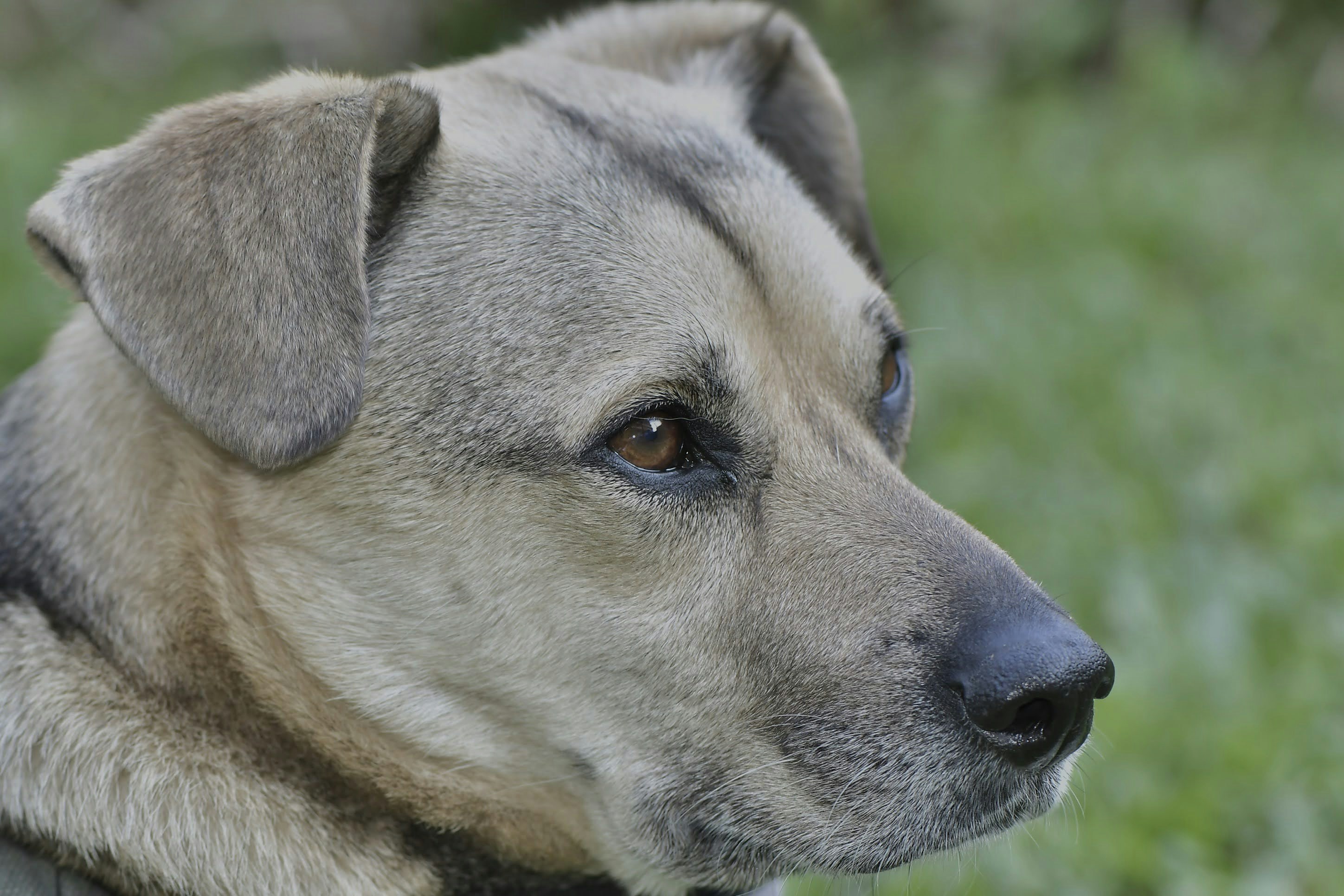 Photo by juanmascan1978