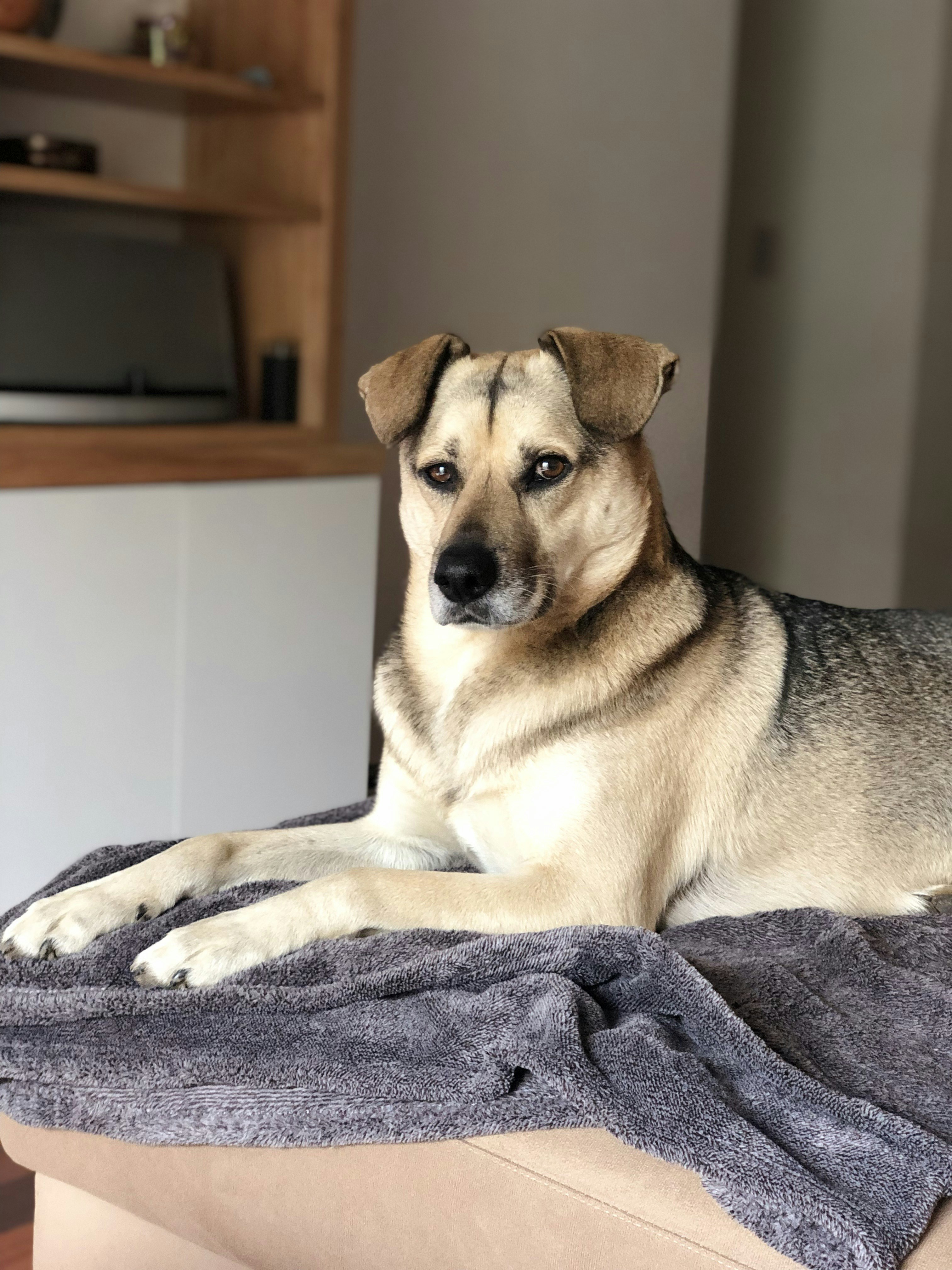 Photo by juanmascan1978