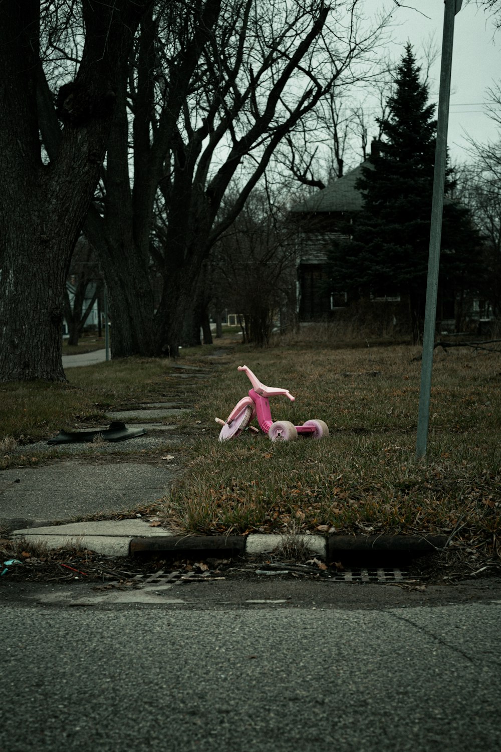 a pink stuffed animal laying on the ground next to a street