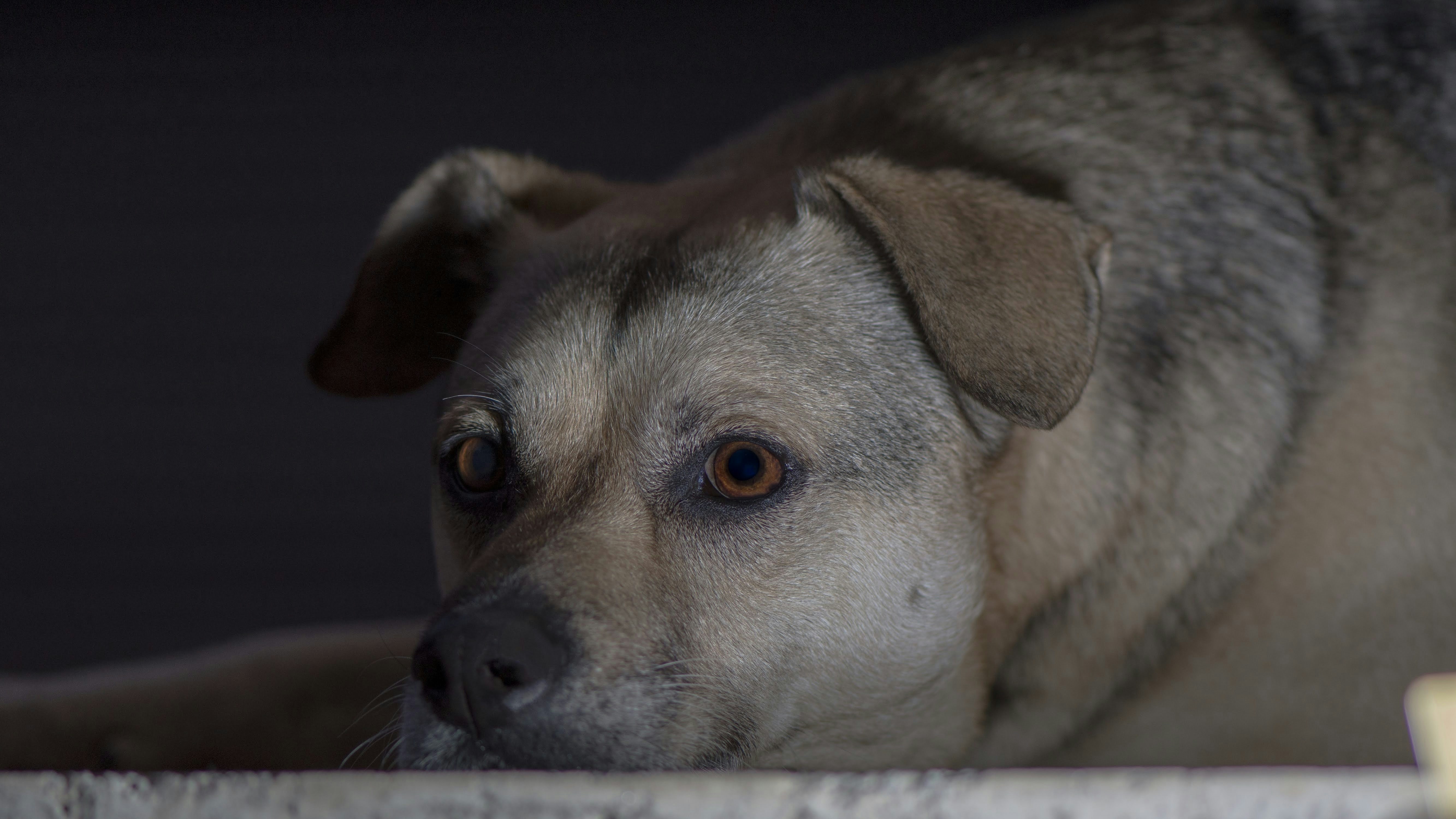 Photo by juanmascan1978