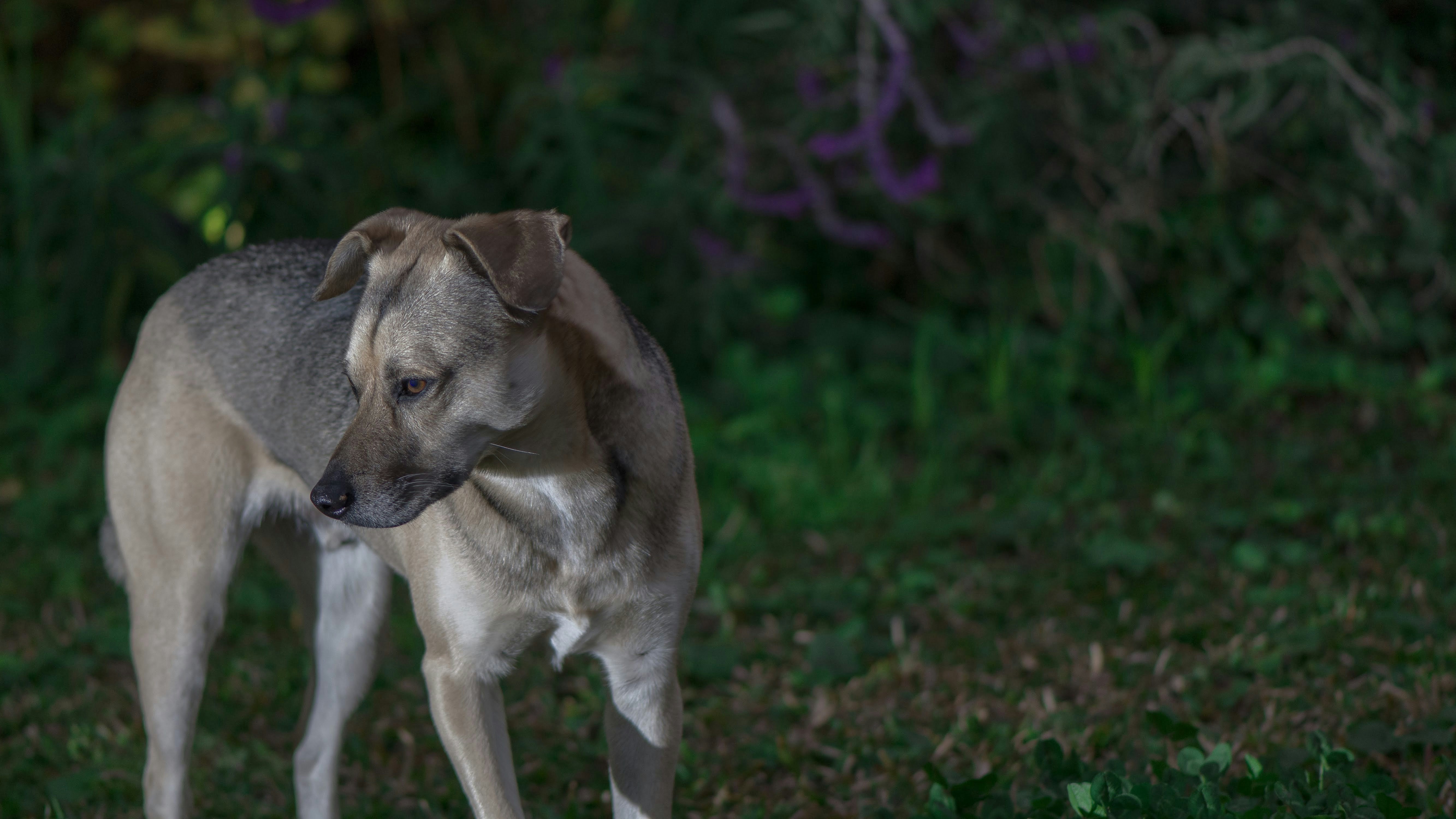 Photo by juanmascan1978