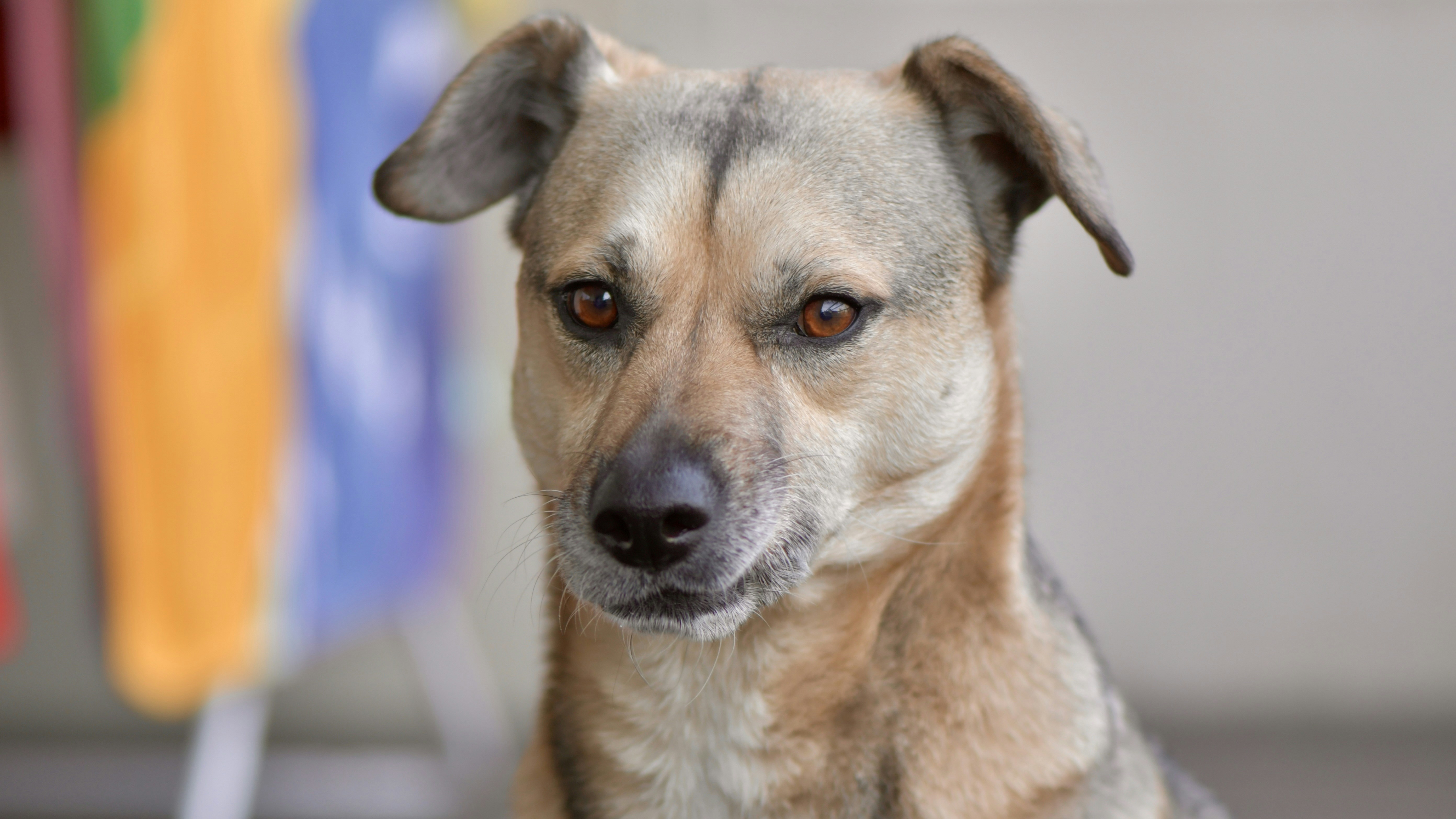 Photo by juanmascan1978