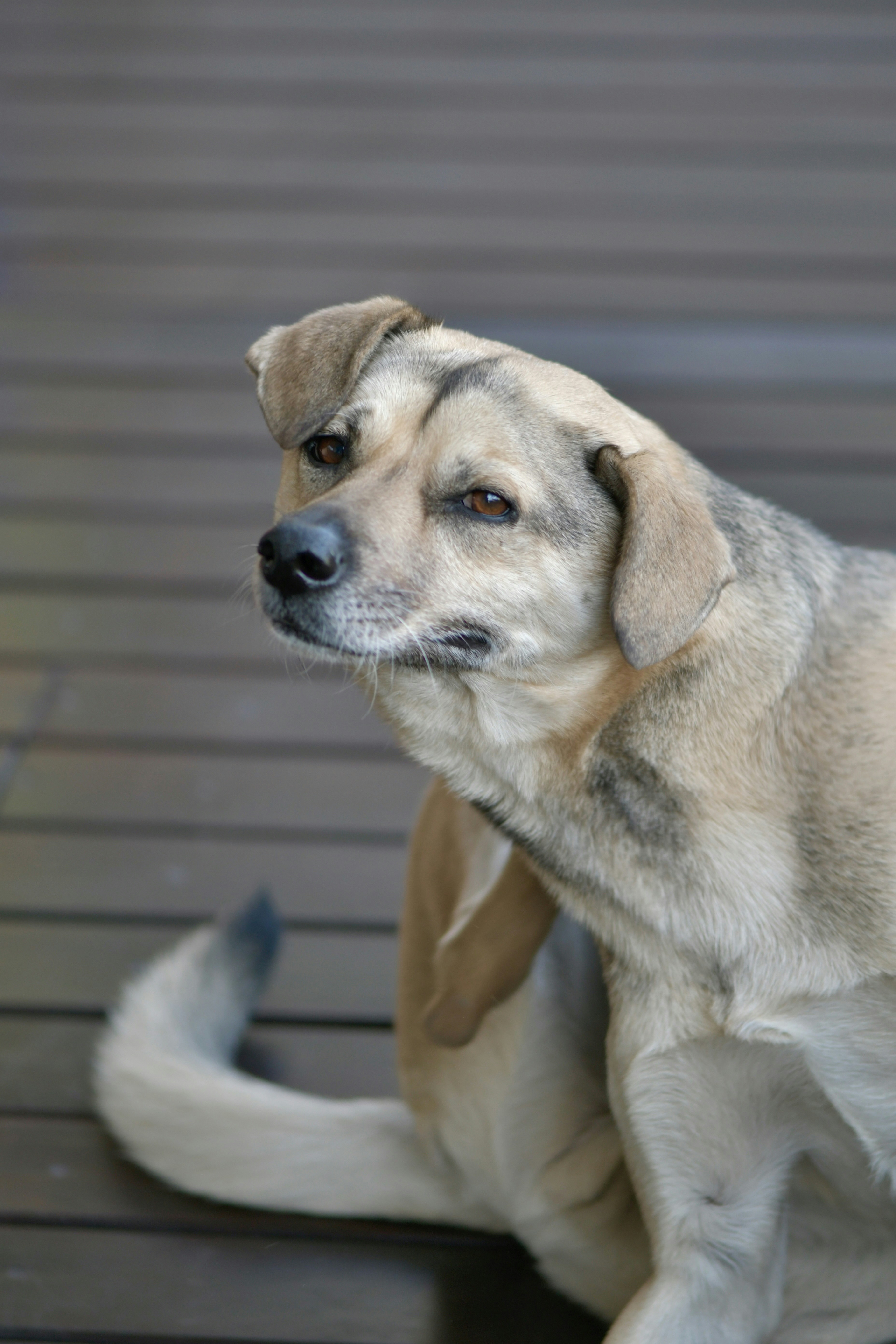 Photo by juanmascan1978