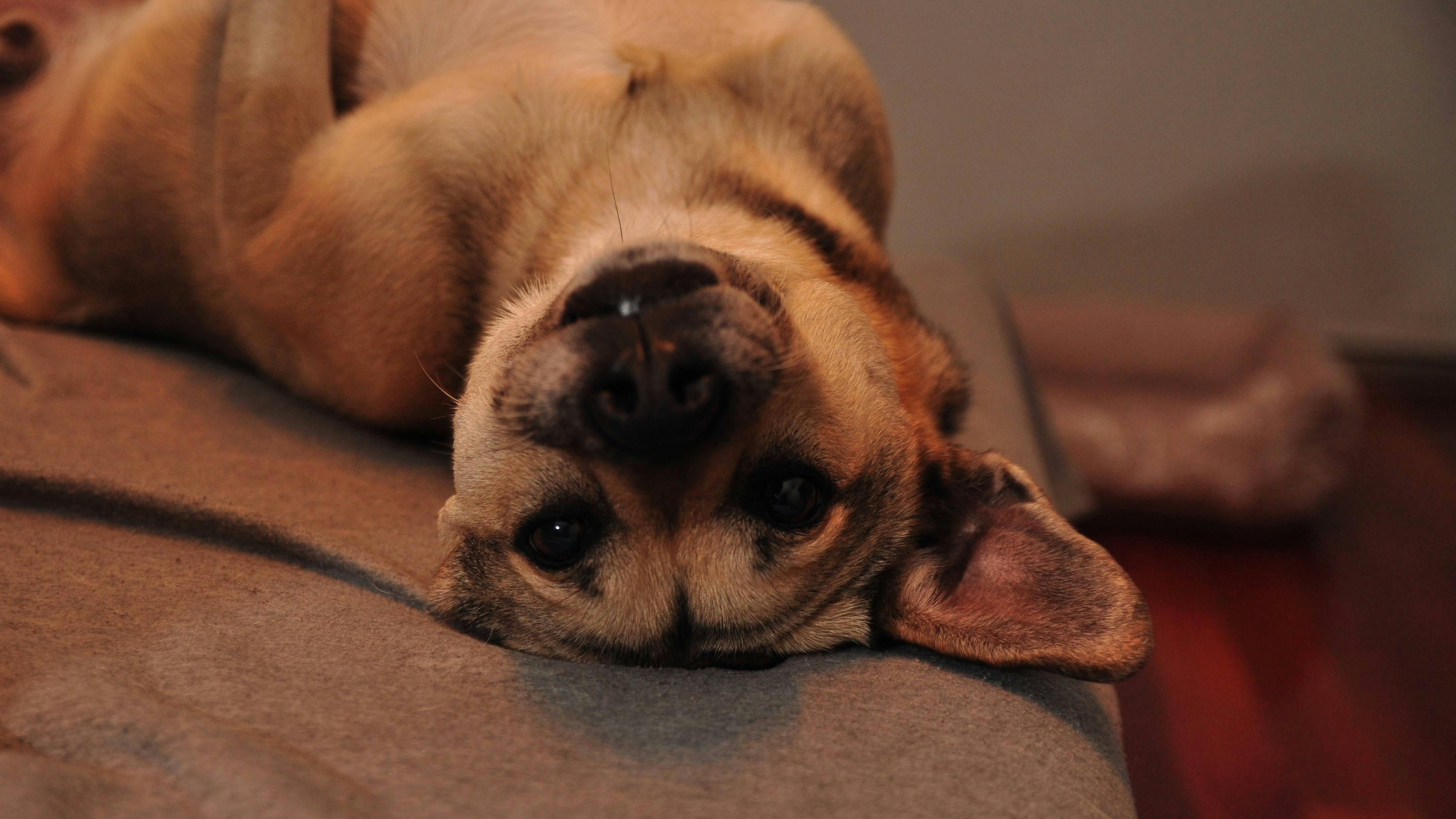 Photo by juanmascan1978