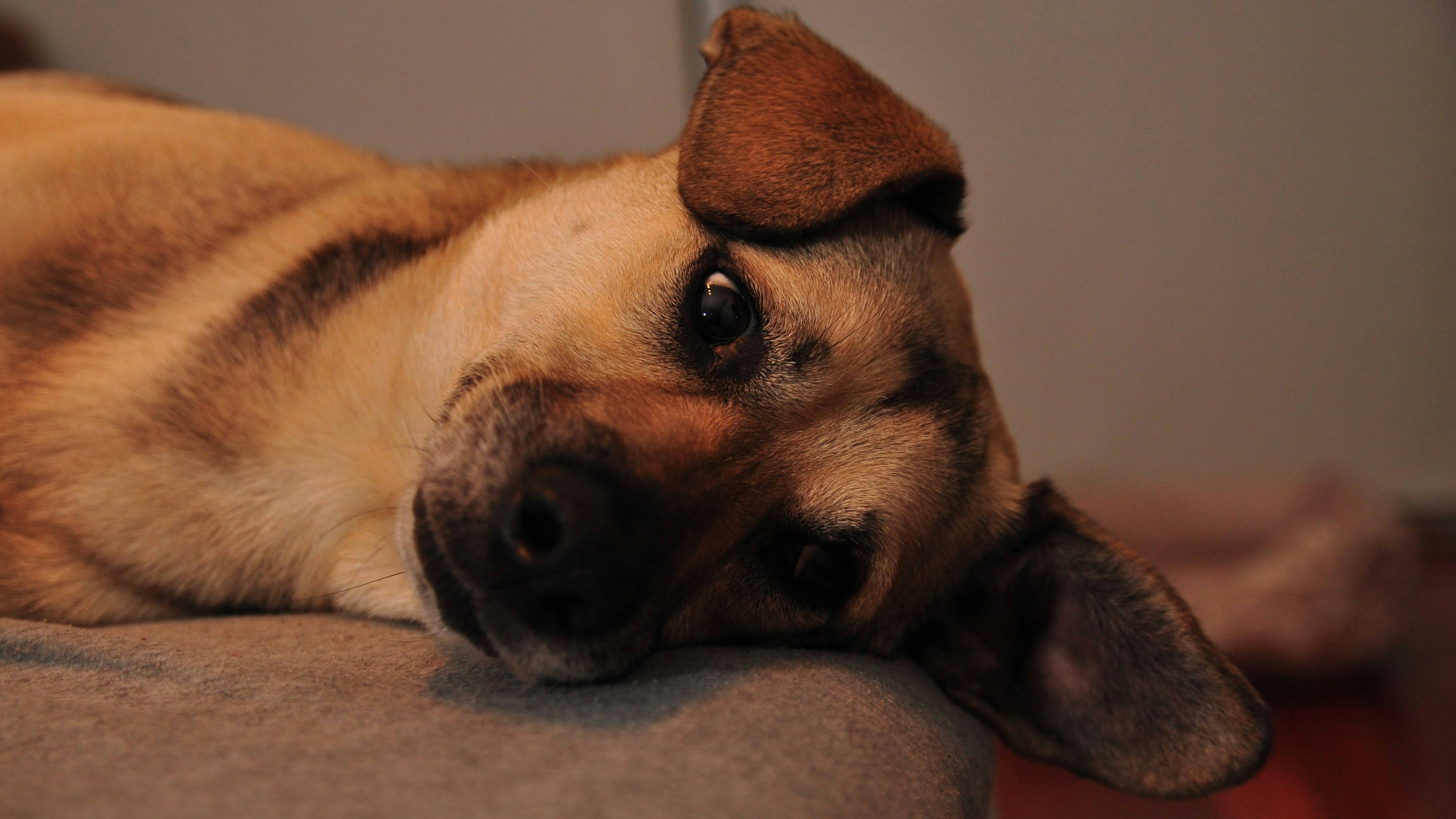 Photo by juanmascan1978