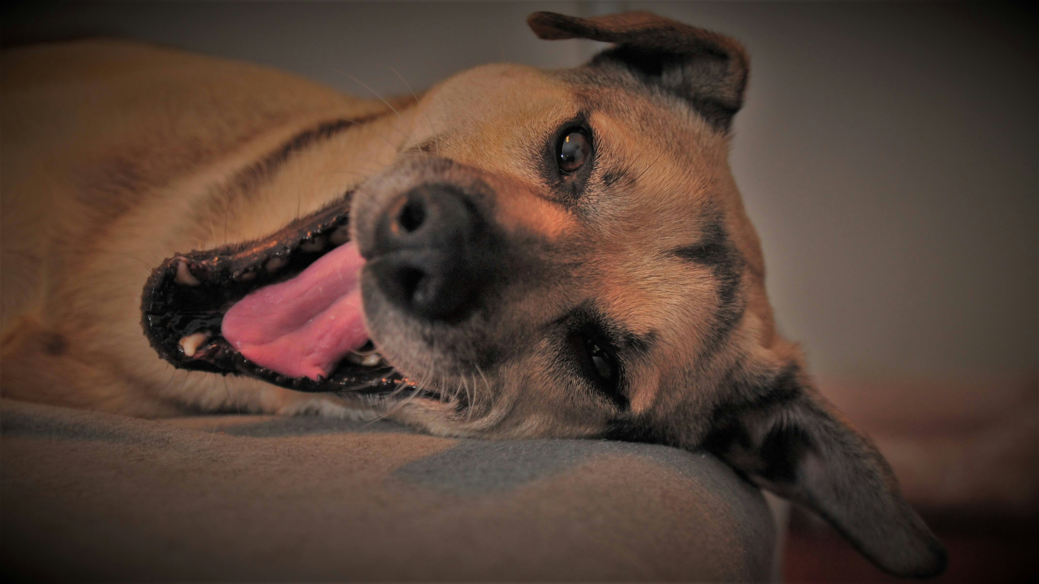 Photo by juanmascan1978