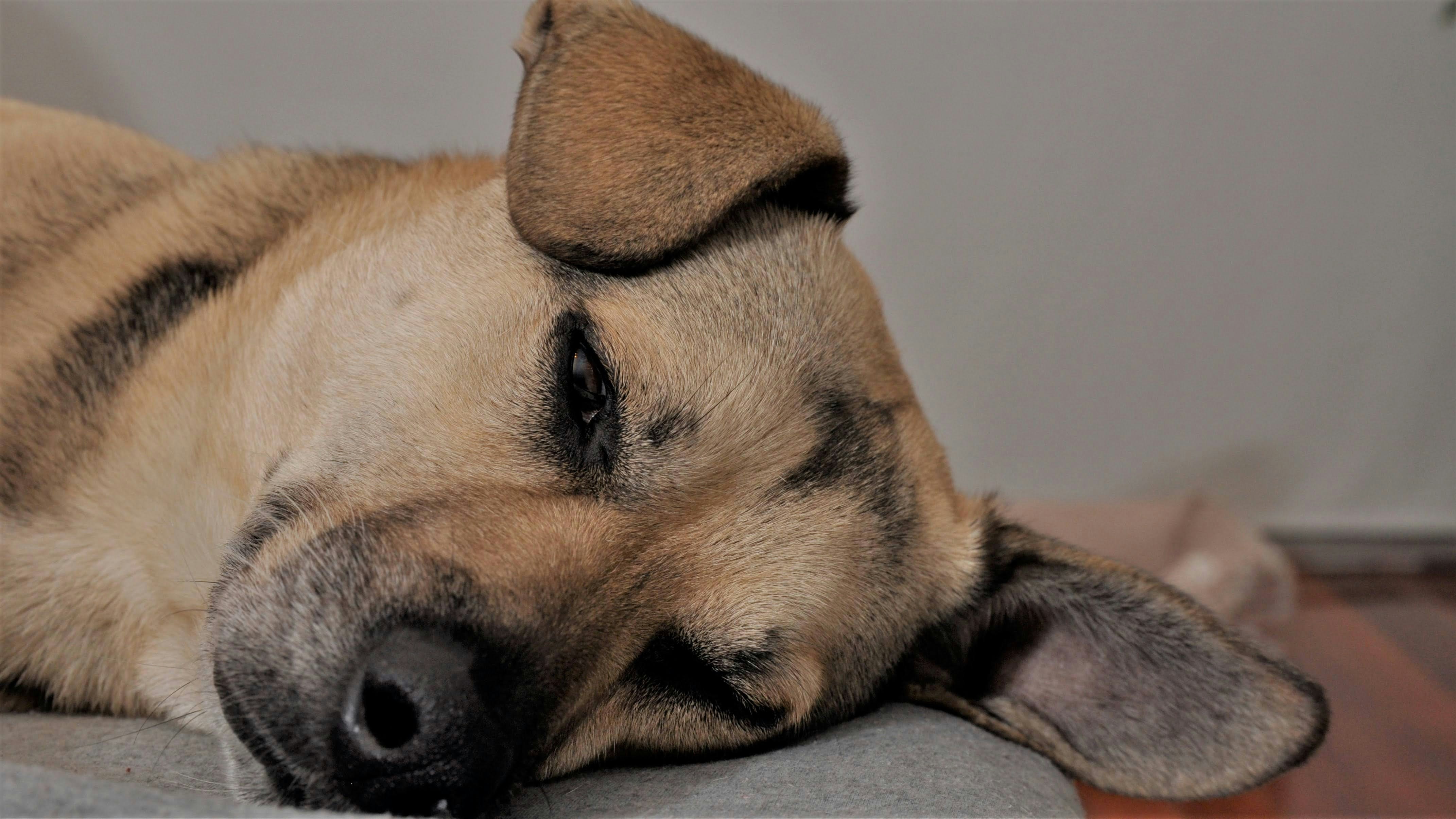 Photo by juanmascan1978