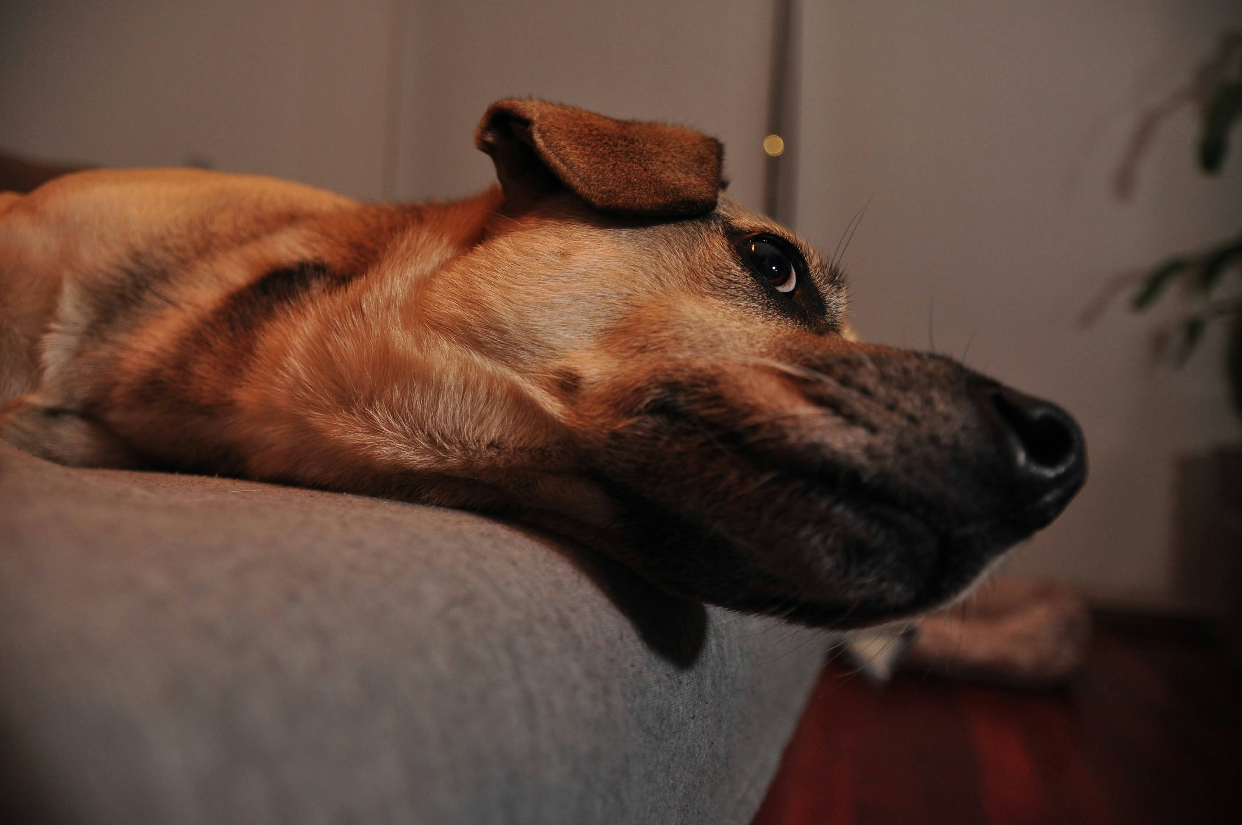 Micro-Movements that Signal Stress