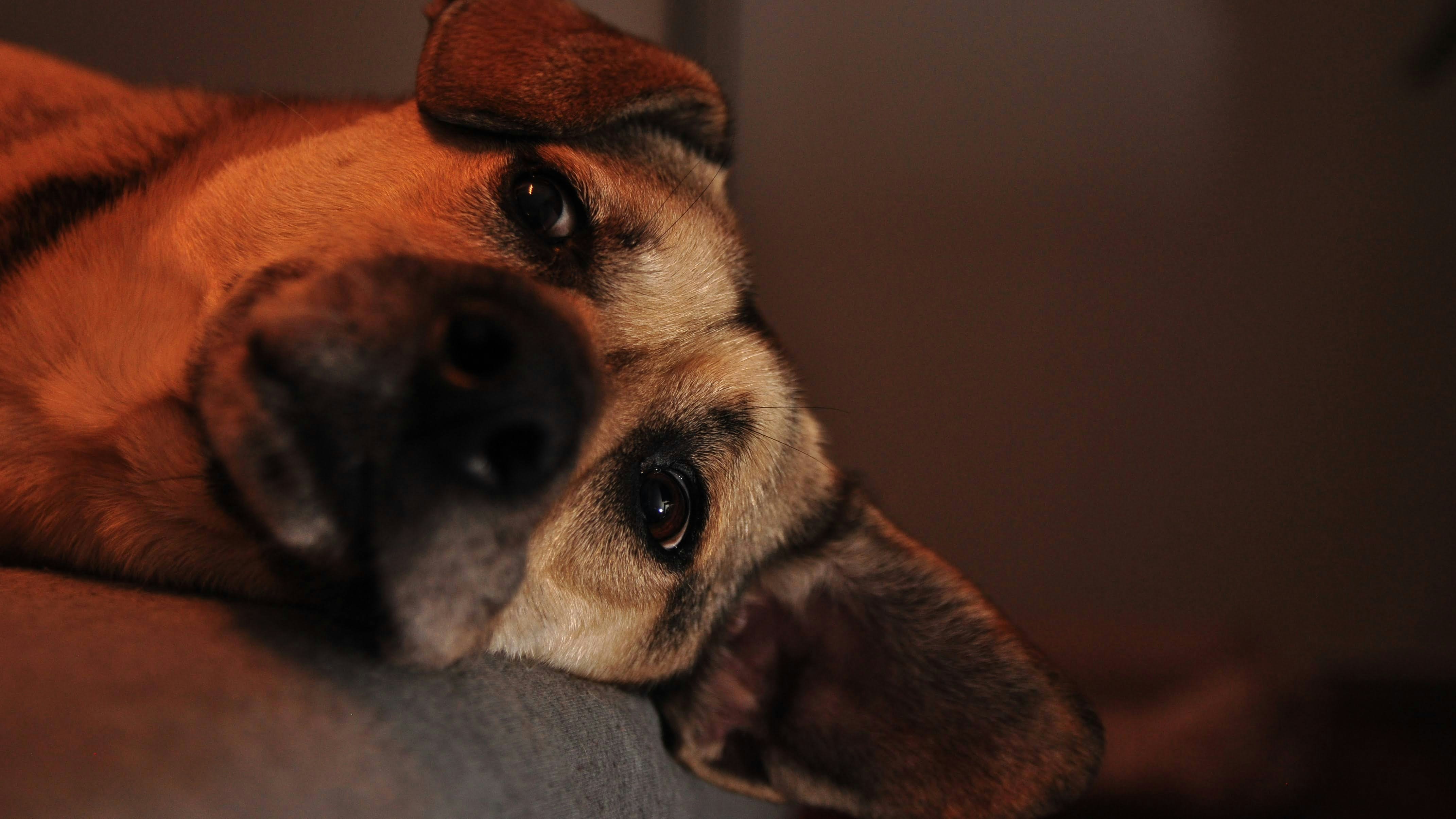 Photo by juanmascan1978