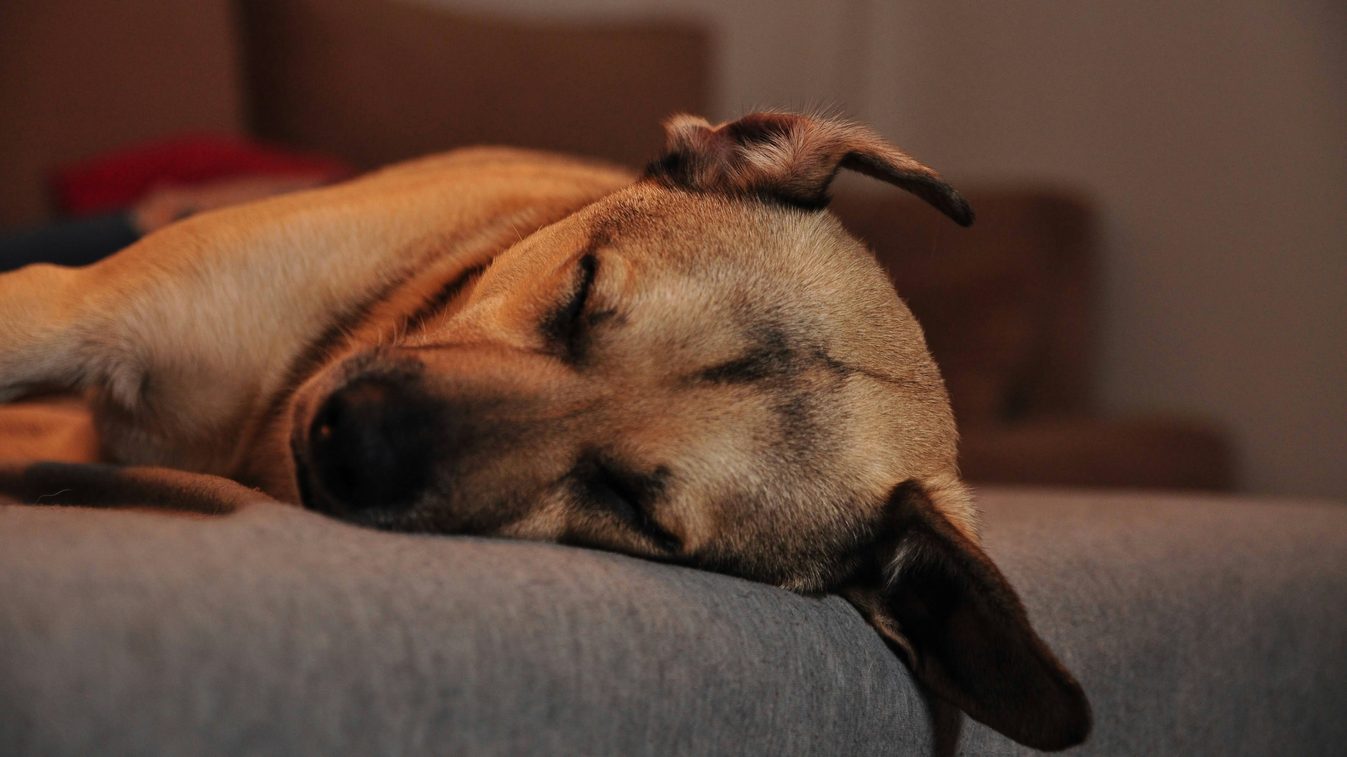 Photo by juanmascan1978