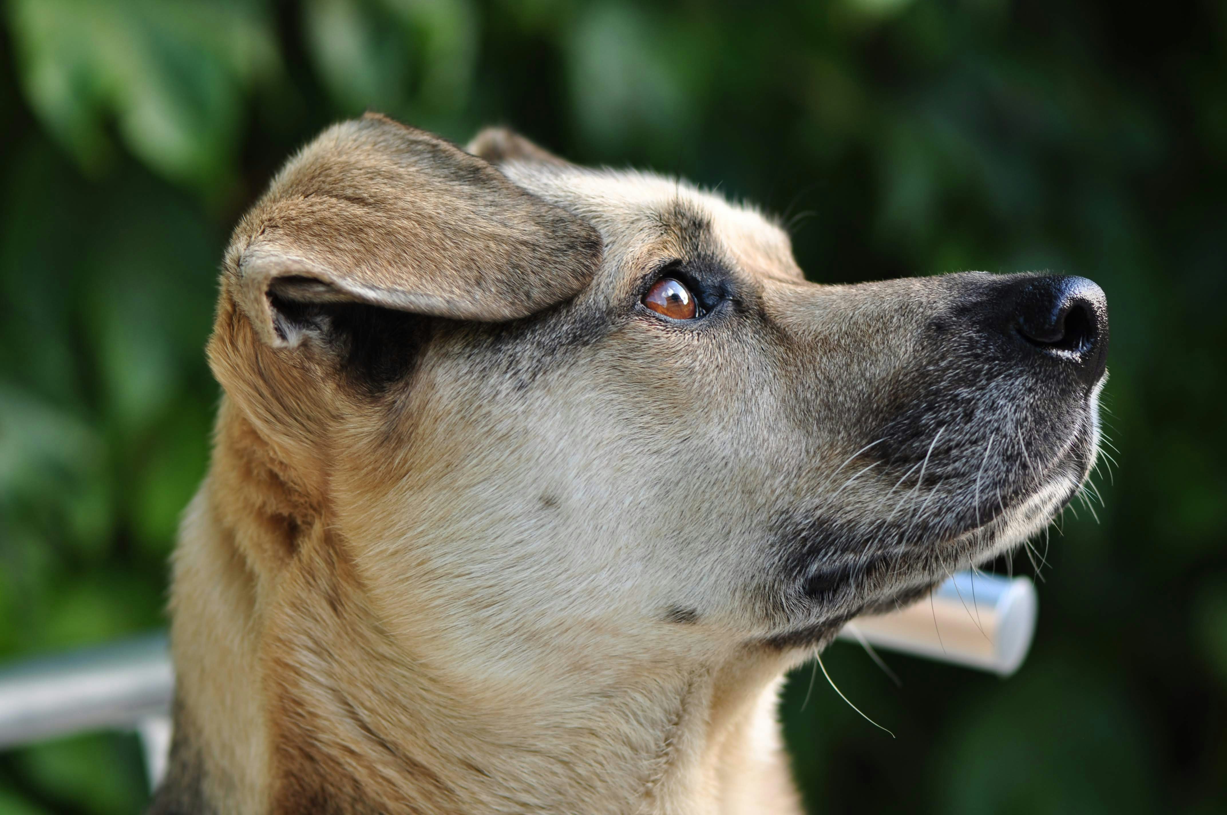 Photo by juanmascan1978