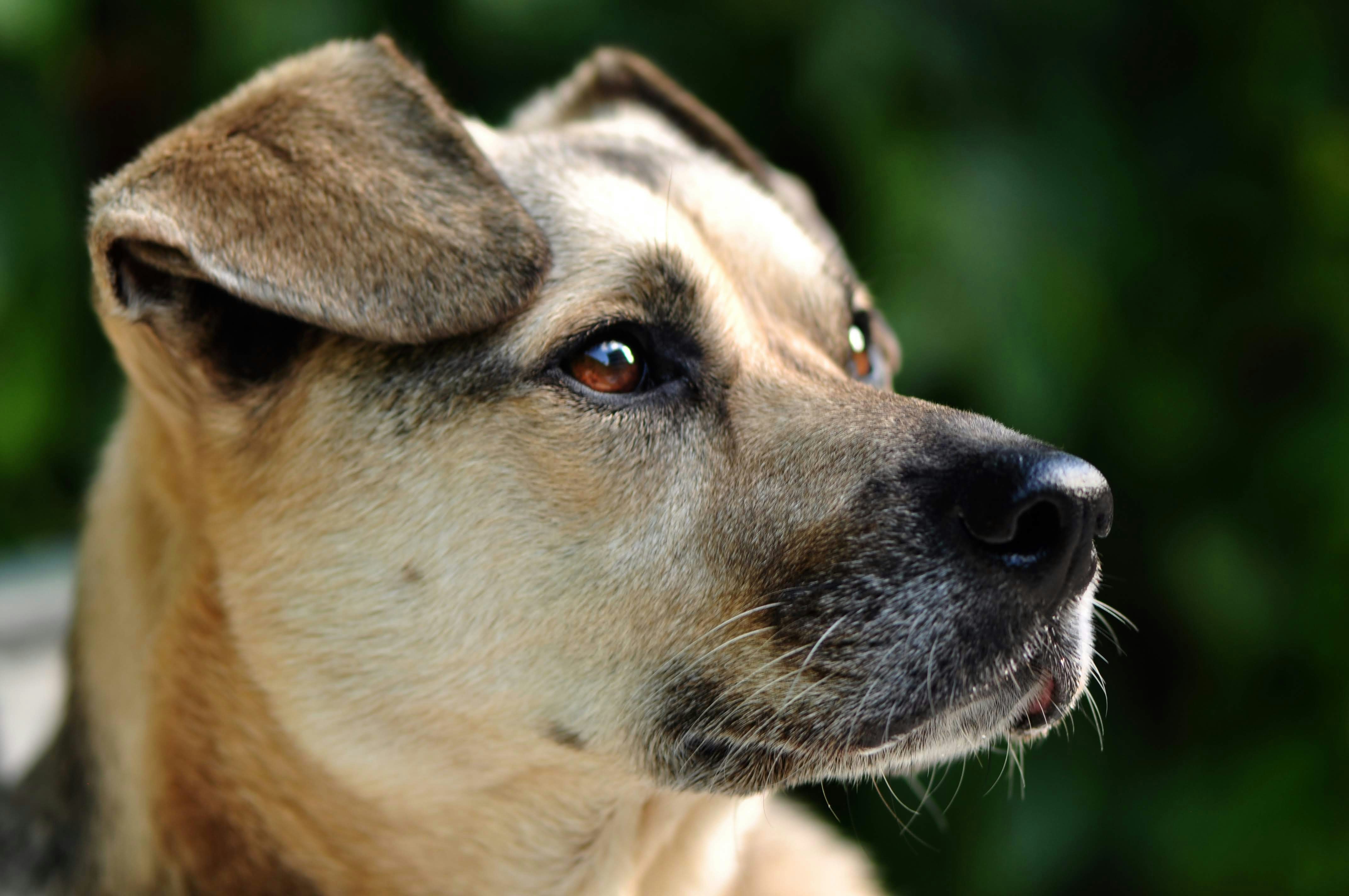 Photo by juanmascan1978