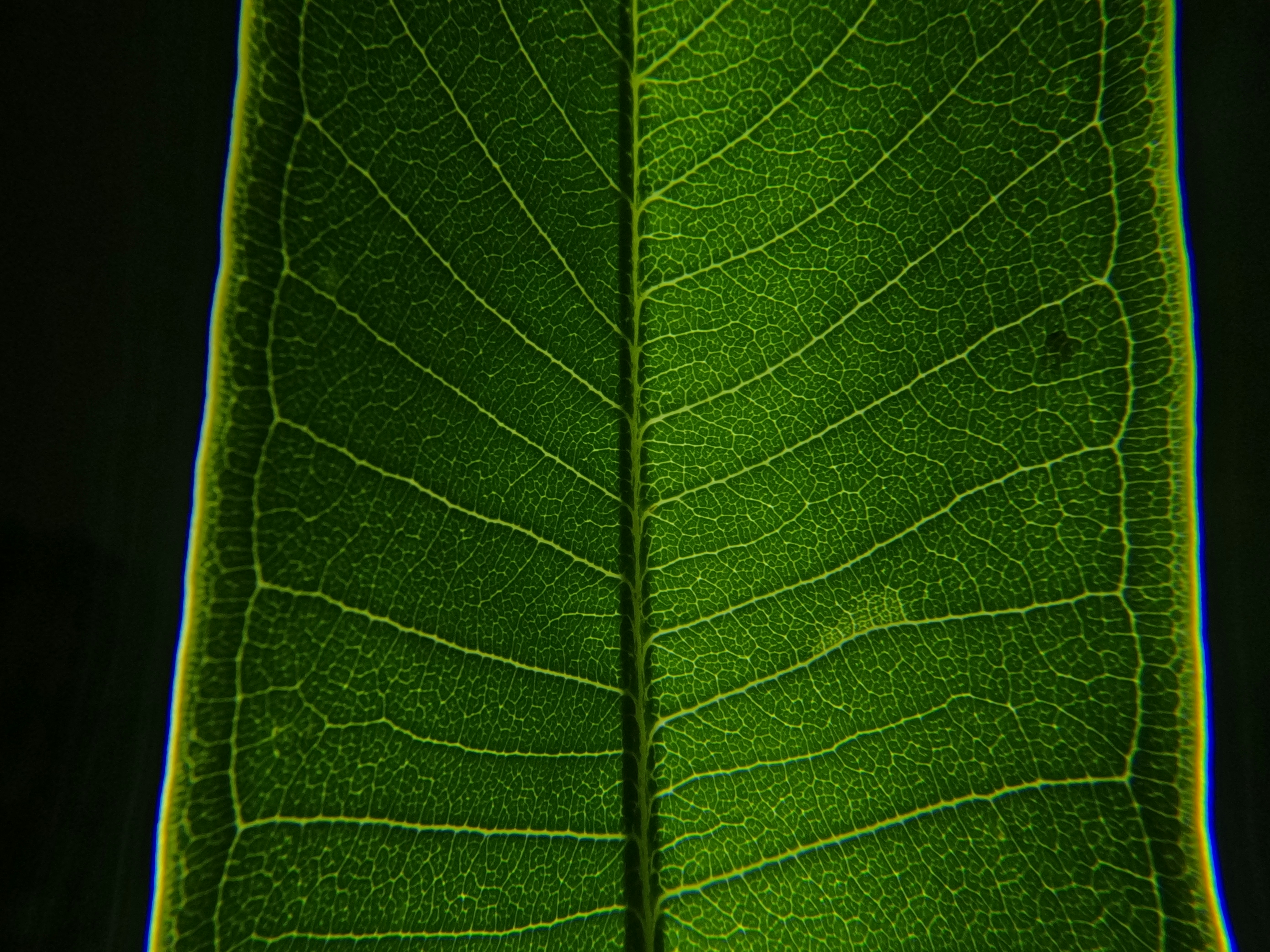 Photo by unsealmyname