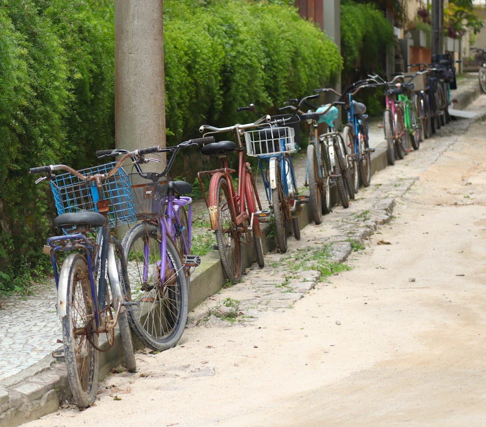 Tourists riding bicycles along a peaceful rural countryside path surrounded by greenery in Hoi An