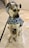 A dog wearing a patterned raincoat with a hood over its head is sitting on a tiled floor. The raincoat is decorated with bone and paw prints in various colors. The dog appears to be on a leash.