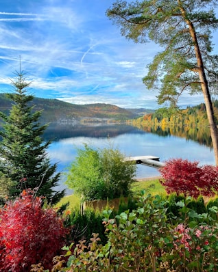 a scenic view of a lake surrounded by trees