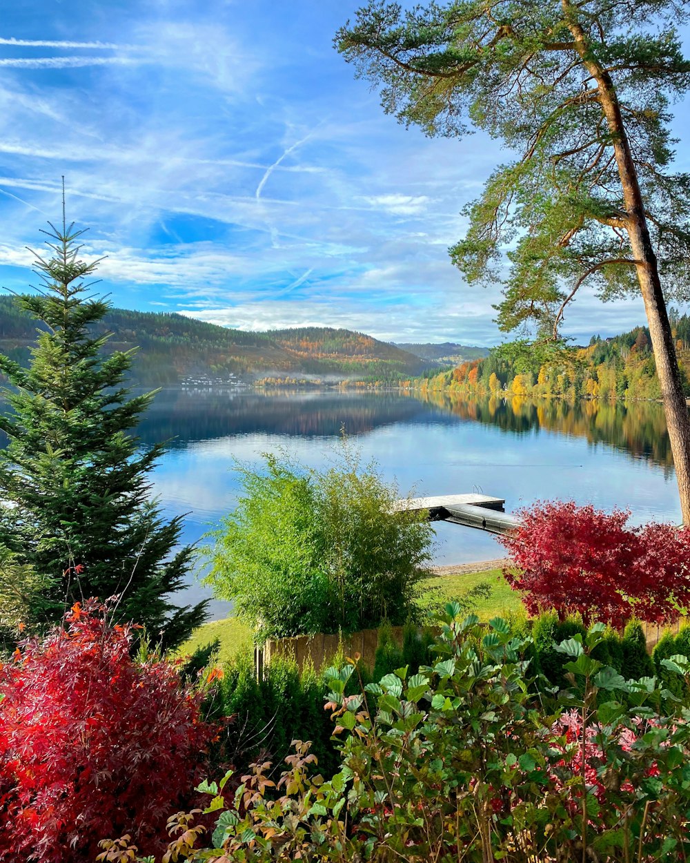 a scenic view of a lake surrounded by trees