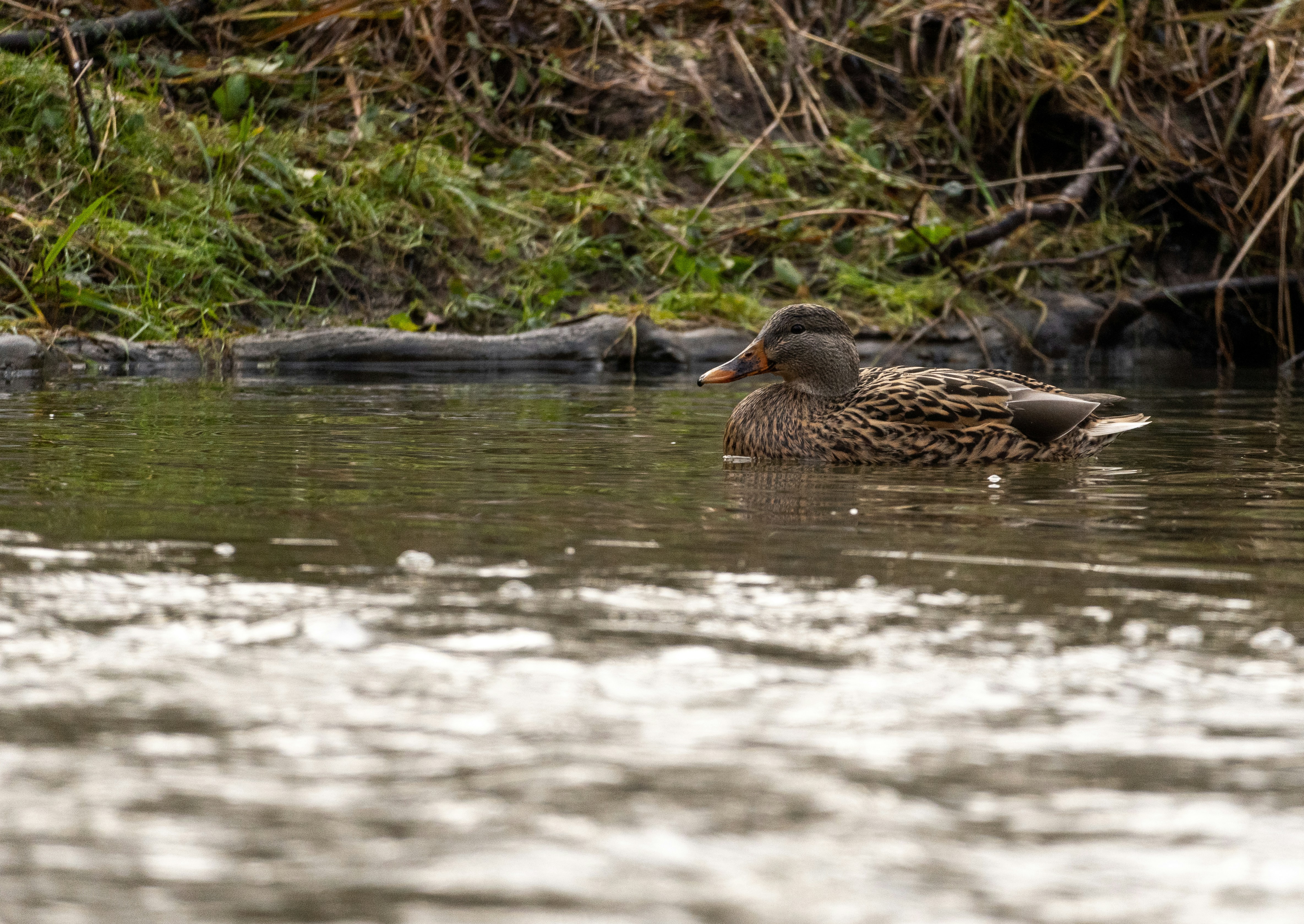 Photo by itsgettinranney