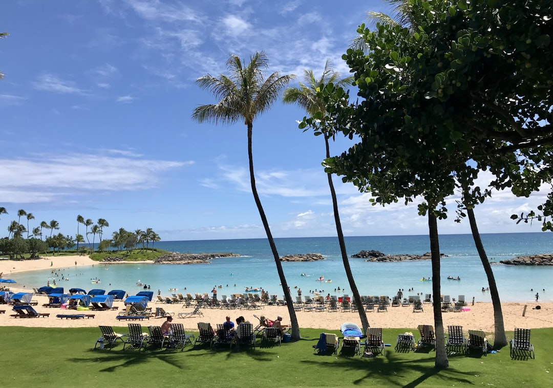 a beach filled with lots of people and palm trees, Fabulous trip to a wonderful resort in Hawaii!