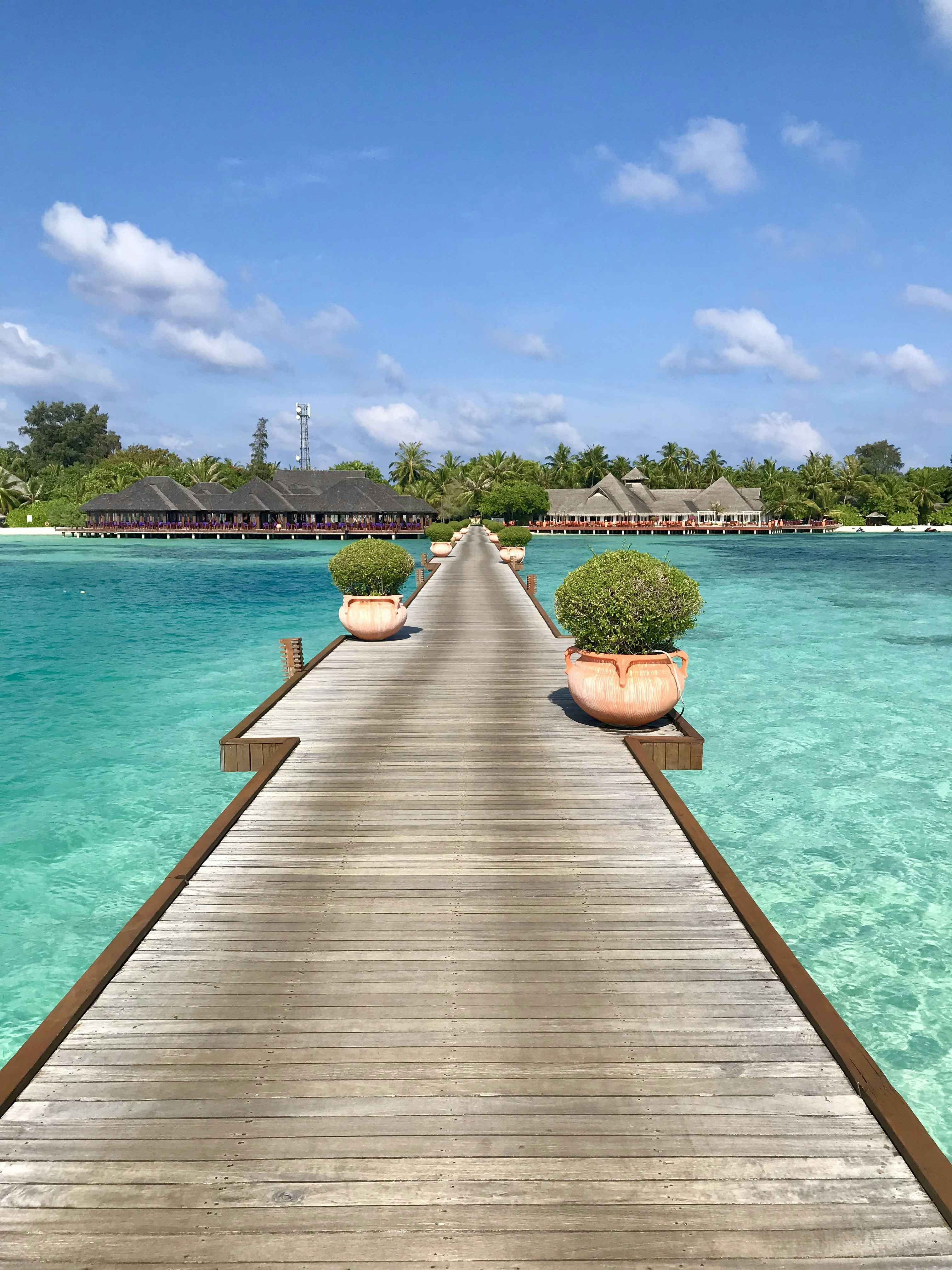 Photo by yourlifestylebusiness