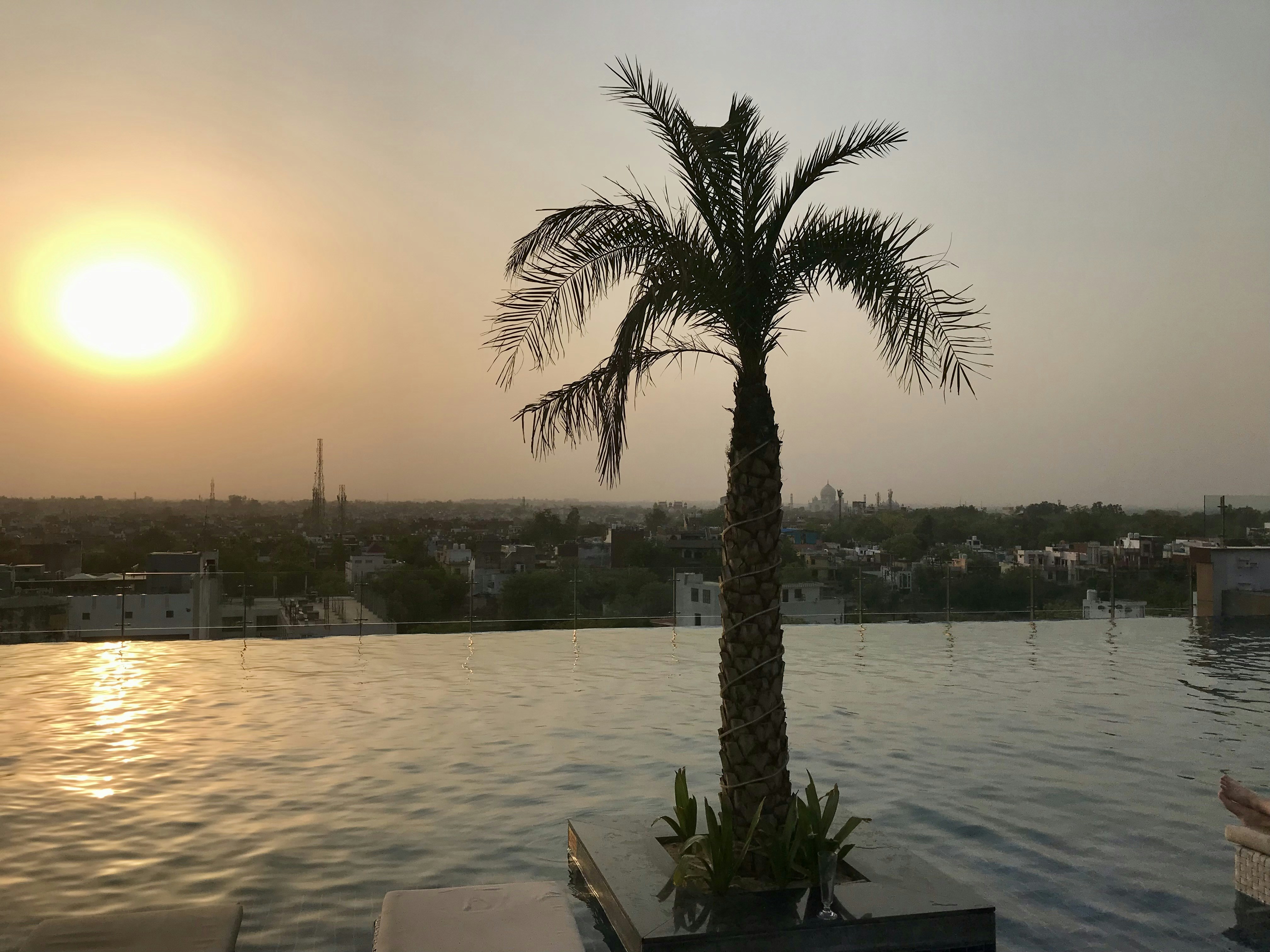 Spot the view of the Taj Mahal to the right of the palm tree in the far distance