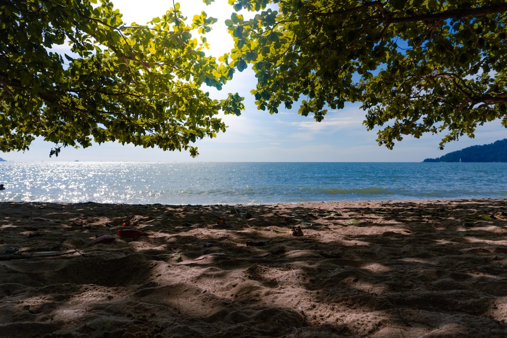 a view of the ocean from a sandy beach