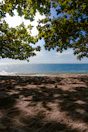 Sunlight filtering through dunes onto a serene beach in Garden City.