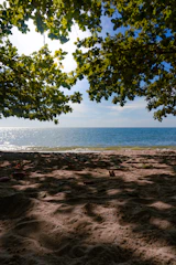 Sunlight filtering through dunes onto a serene beach in Garden City.