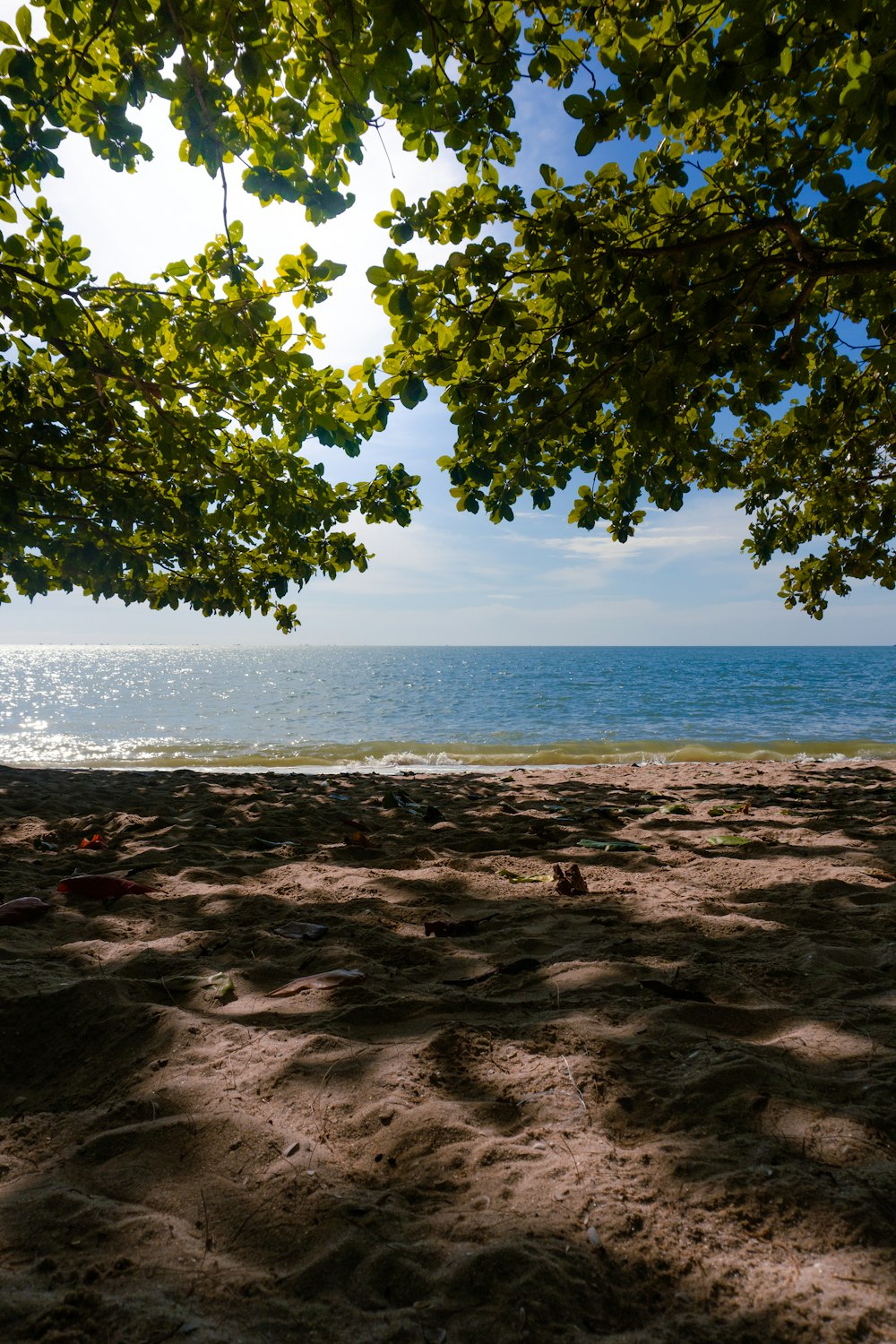 a view of the ocean from a sandy beach