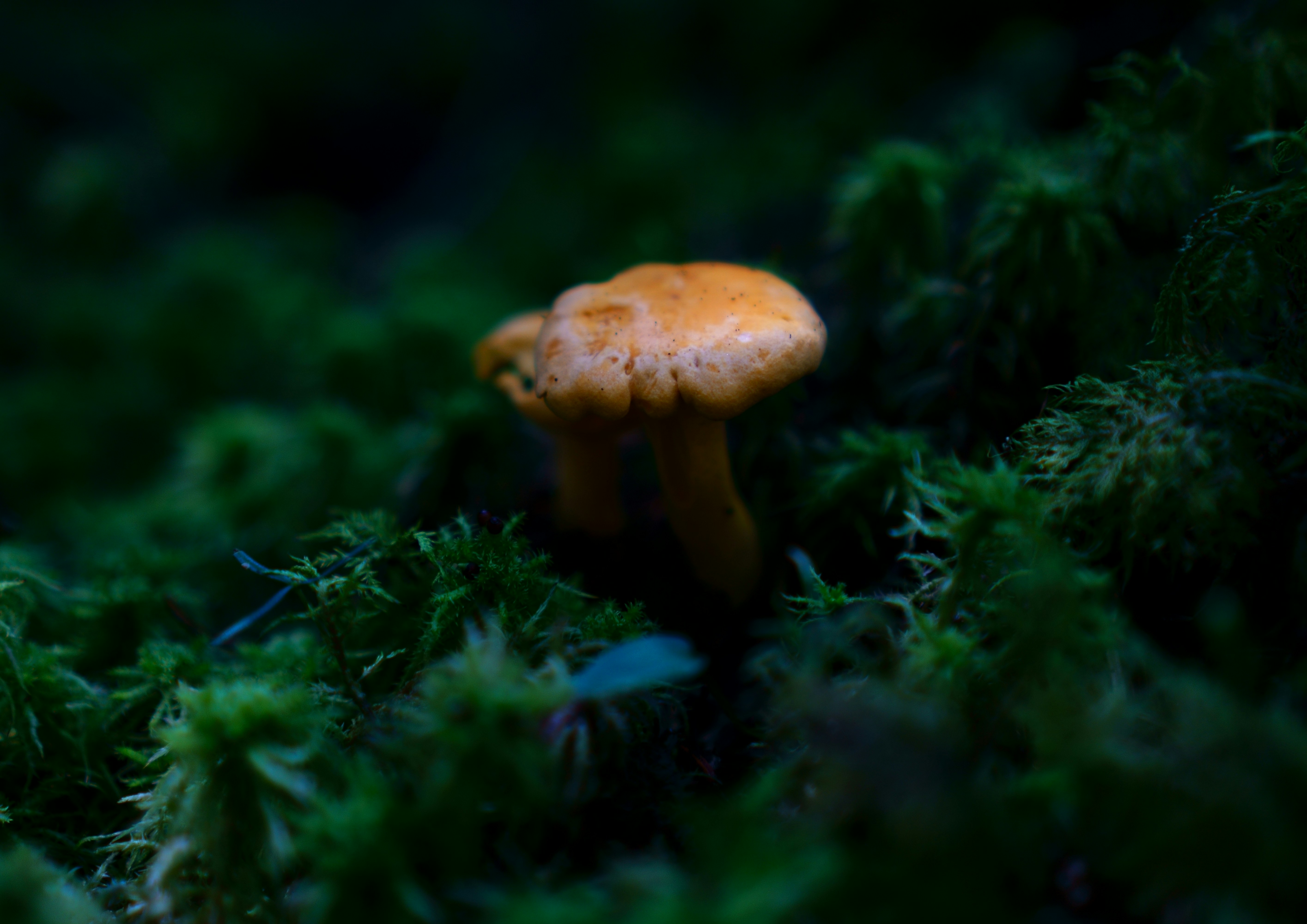 Photo by lens_poet_photography