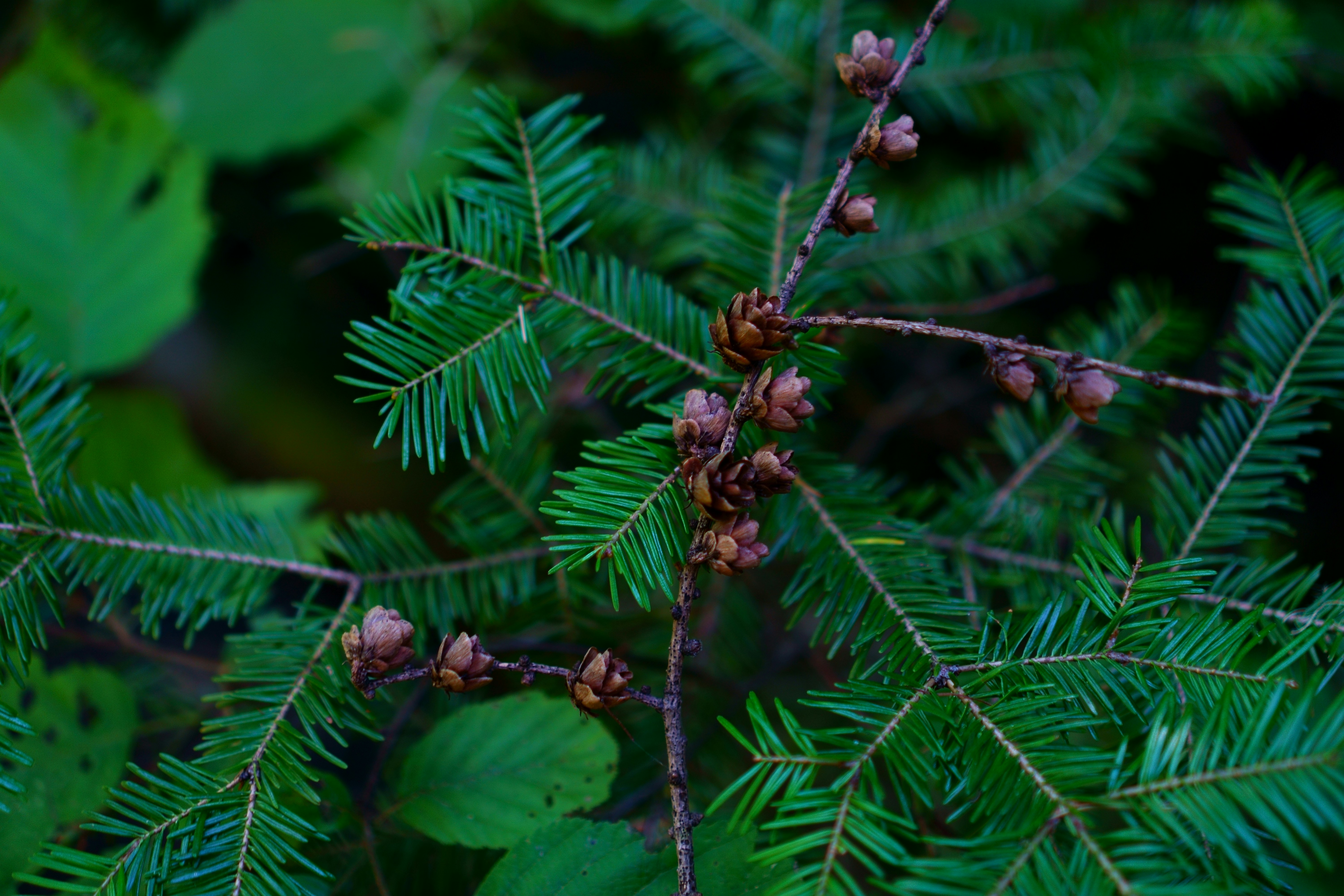 Photo by lens_poet_photography