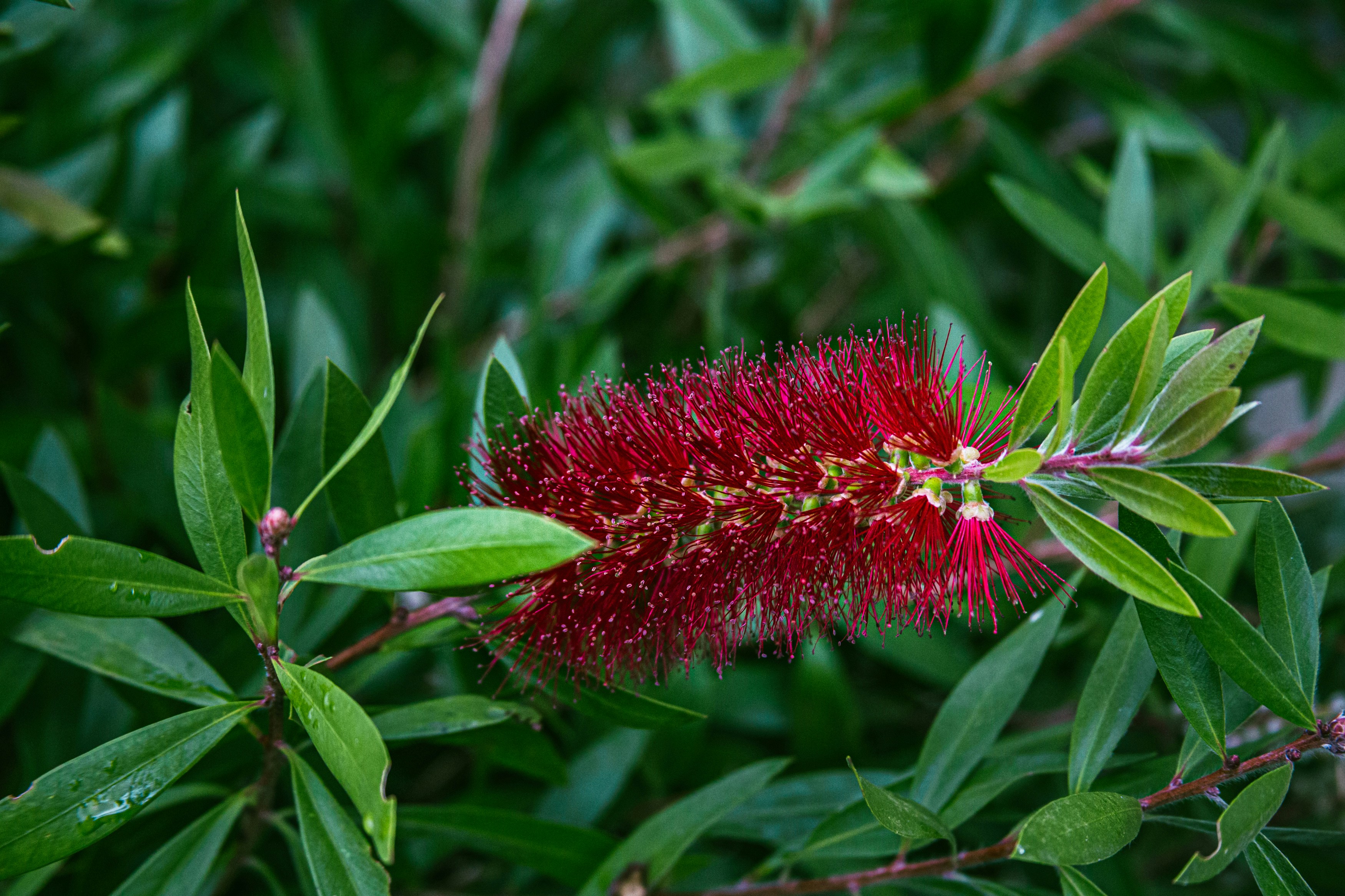 Photo by fortheloveofsmoke