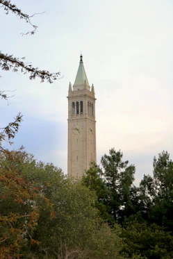 a tall clock tower towering over a forest