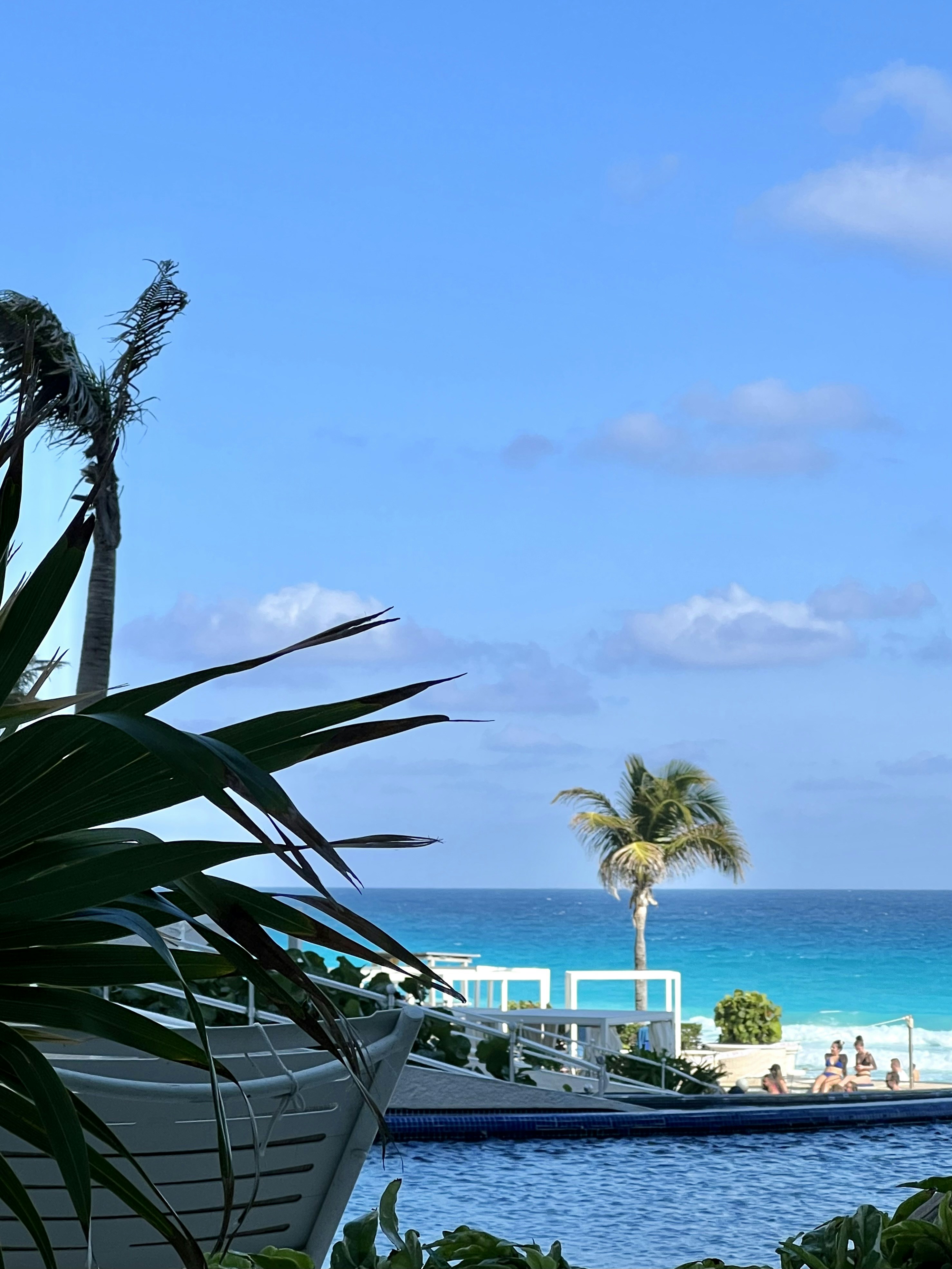 Photo by henriquepaim