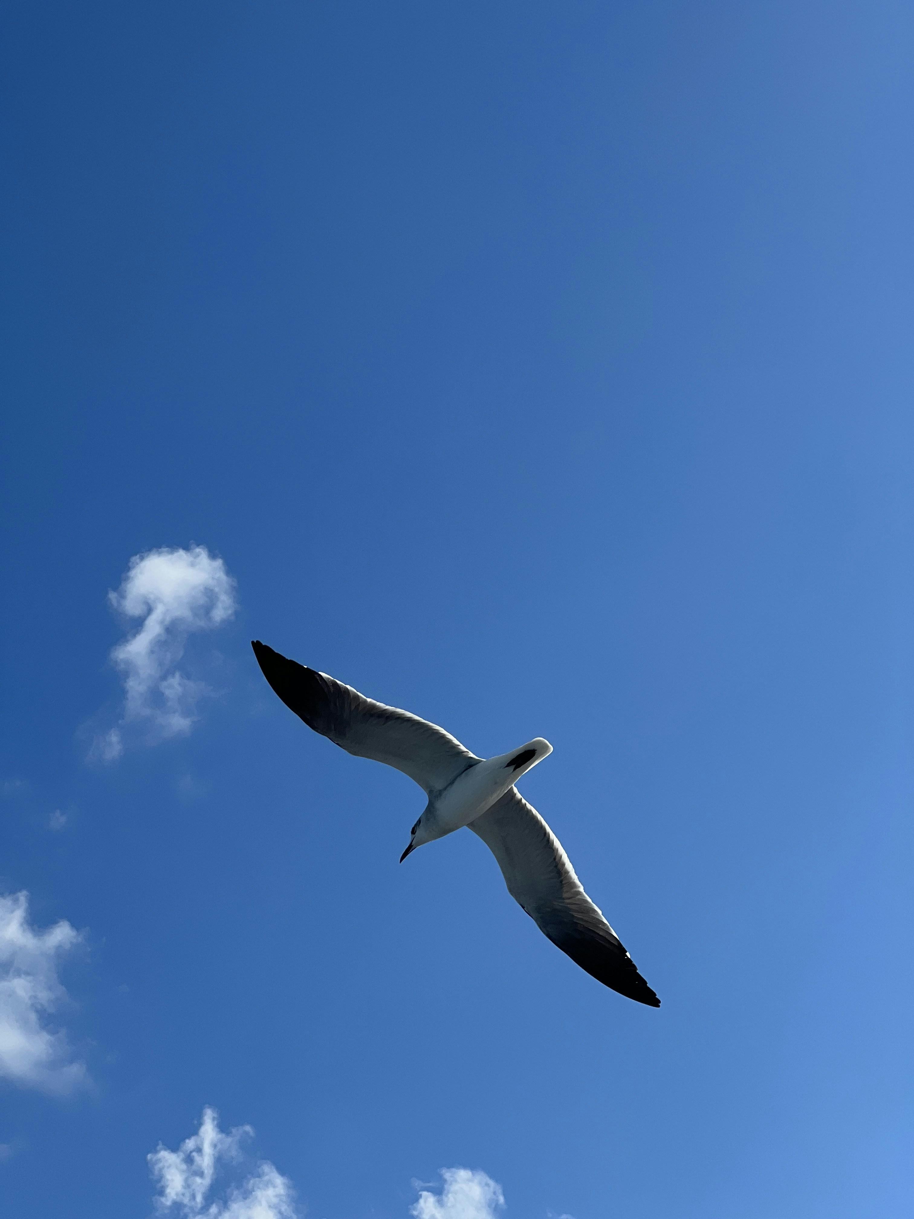 Photo by henriquepaim