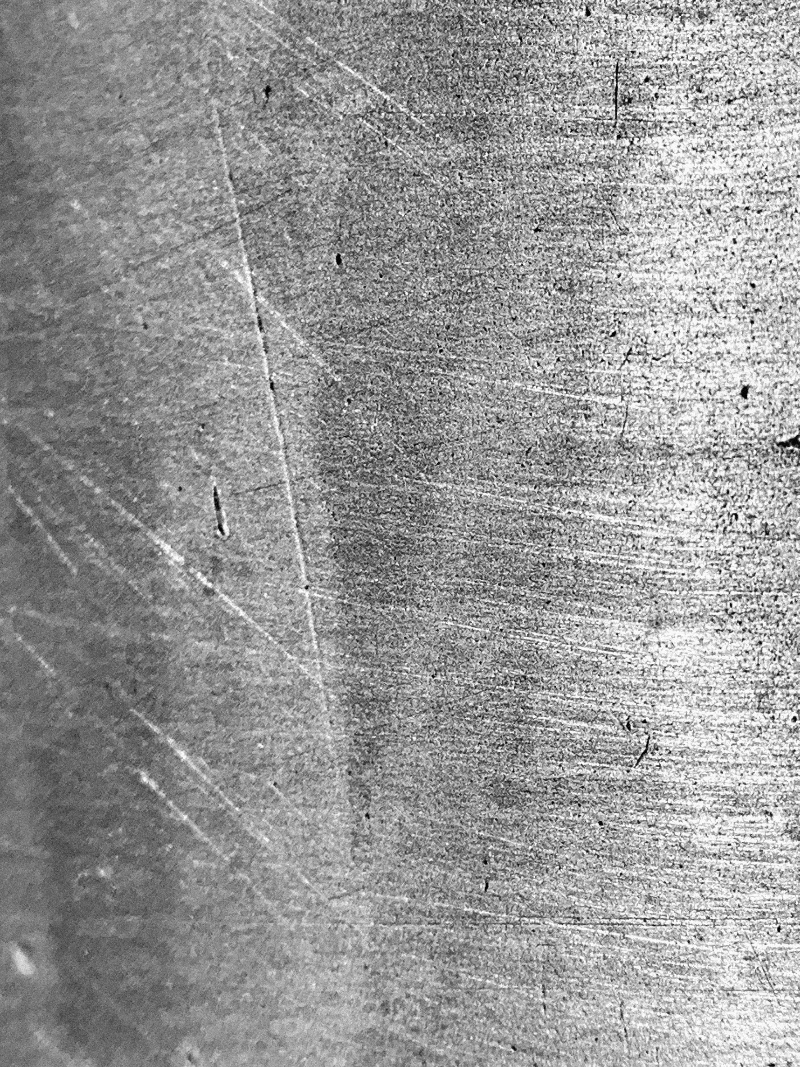 Bugün öğrendim ki: Dünyanın en büyük yarasa...