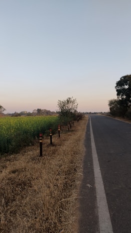 a rural road with a field of crops in the background