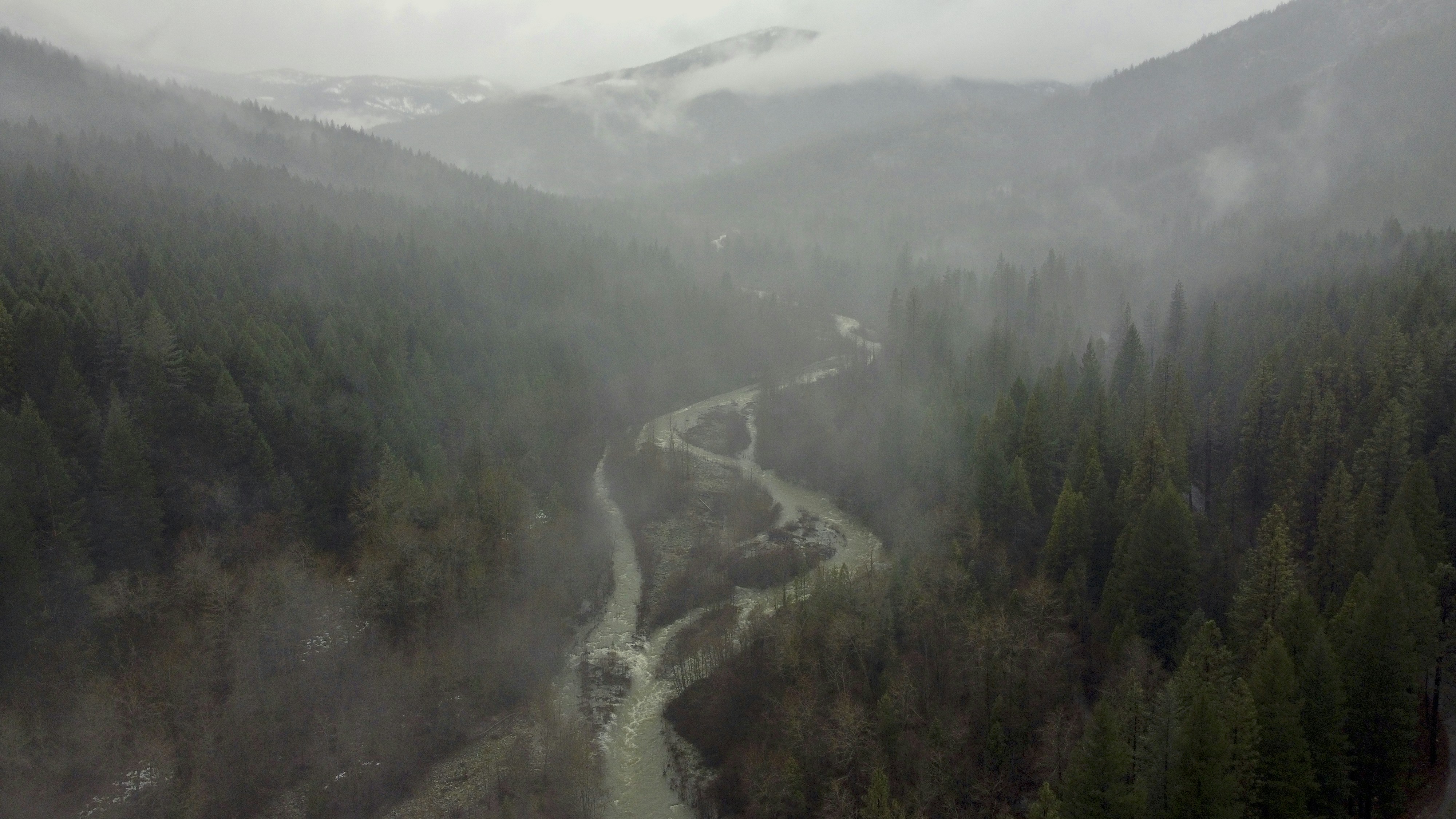 Un río que fluye a través de un exuberante bosque verde
