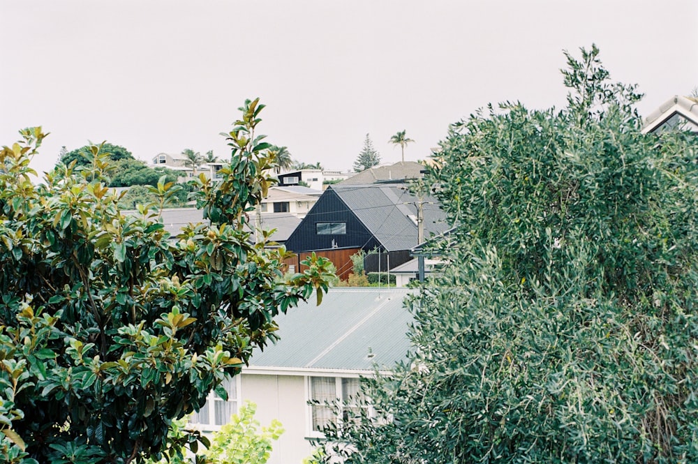 a view of some houses and trees from a distance