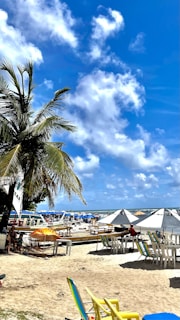A vibrant beach scene with comfortable lounge chairs and umbrellas.