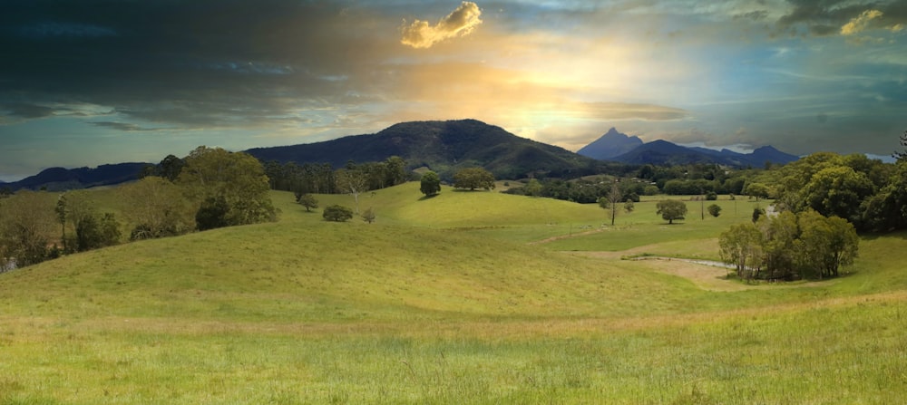 a grassy field with mountains in the background