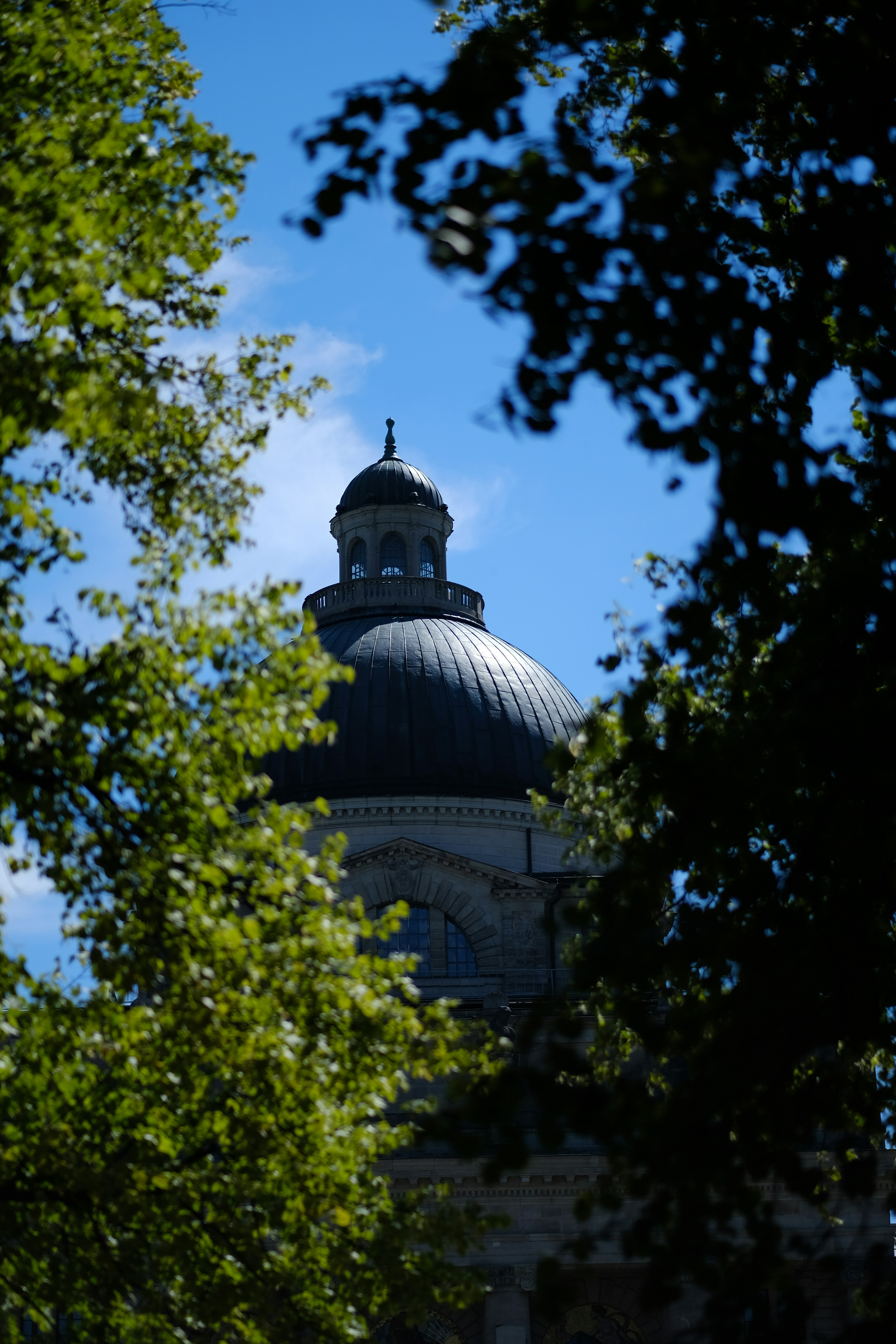 Photo by zaralazarov