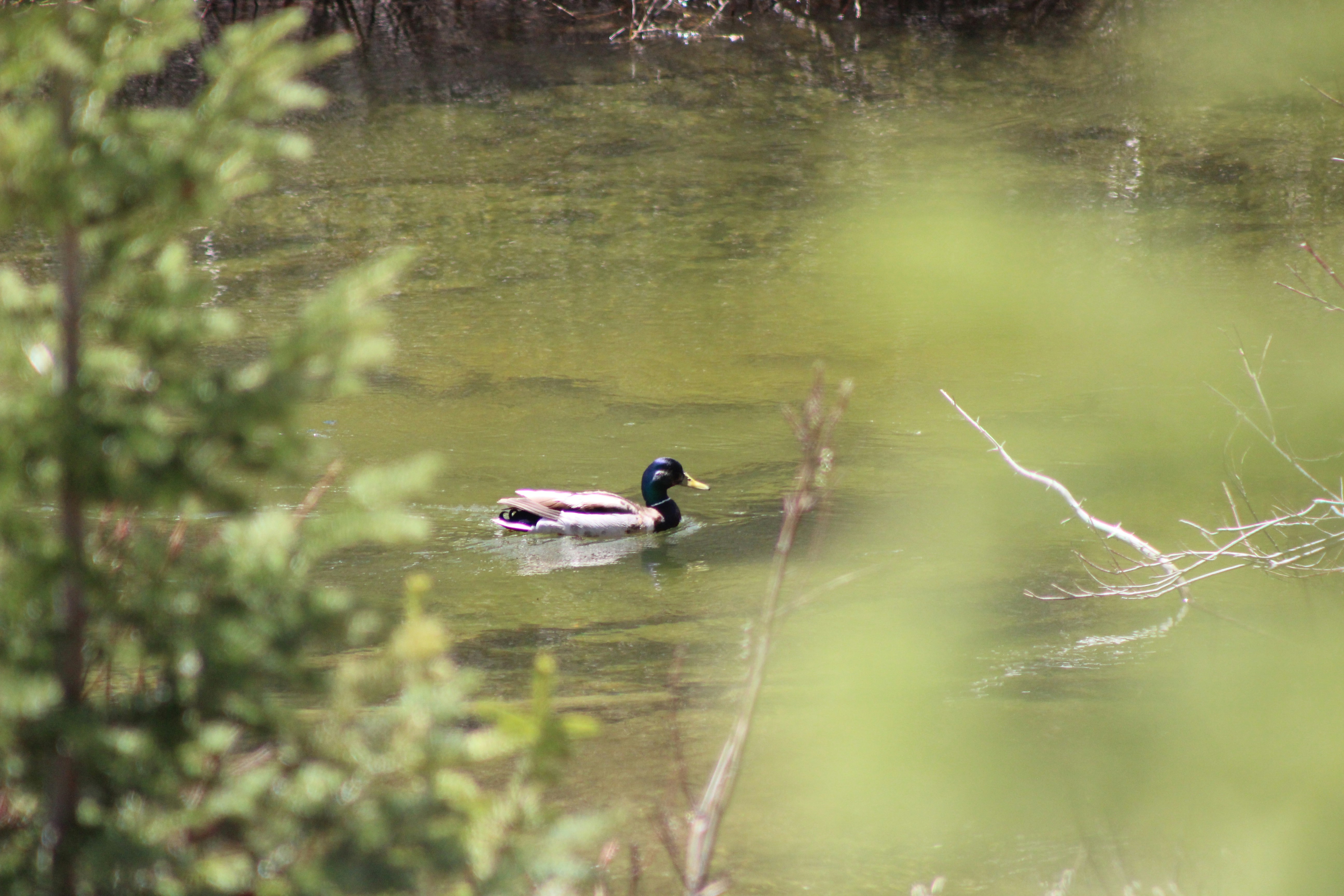 Photo by eubankchels