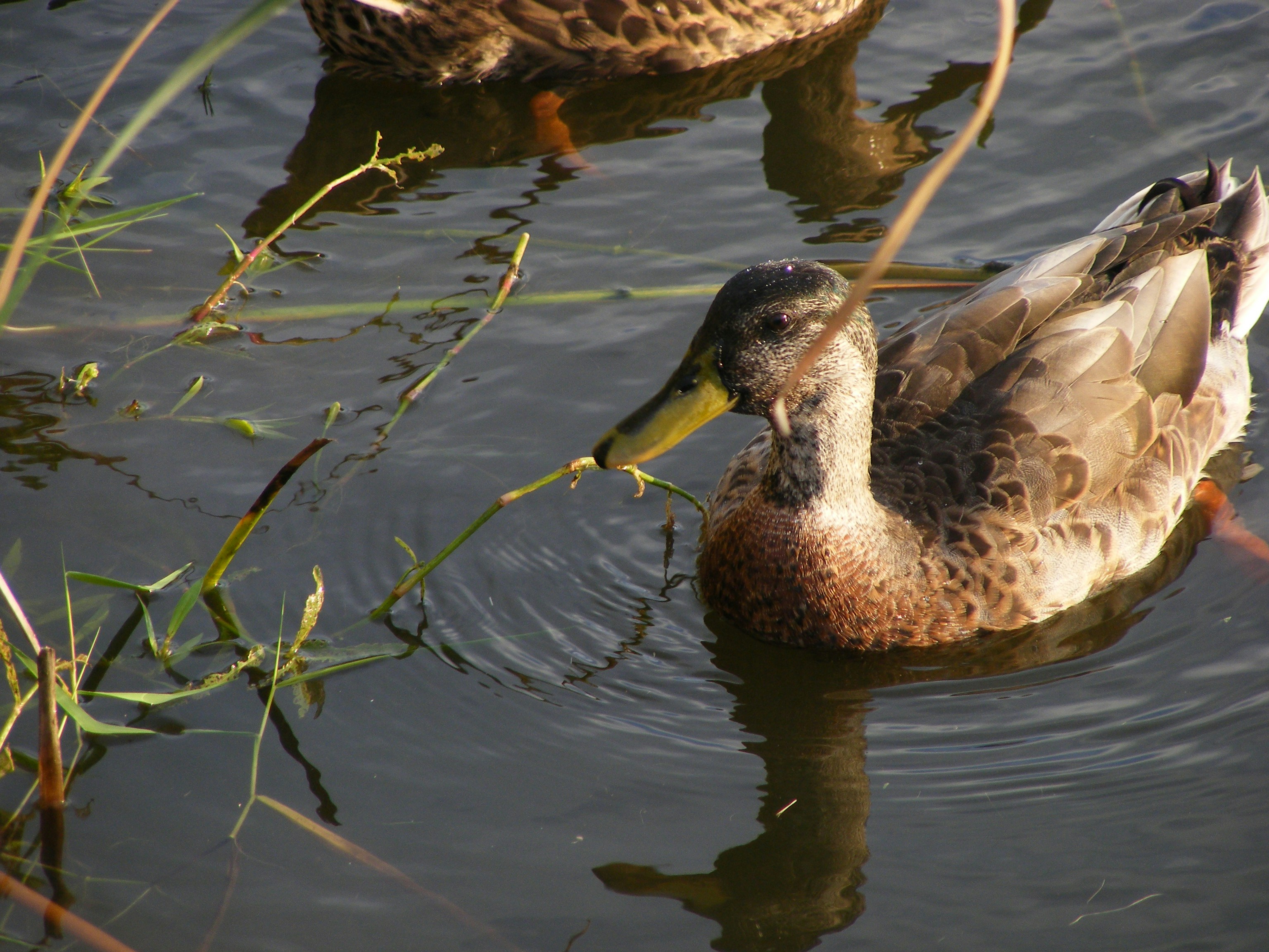 Photo by eubankchels